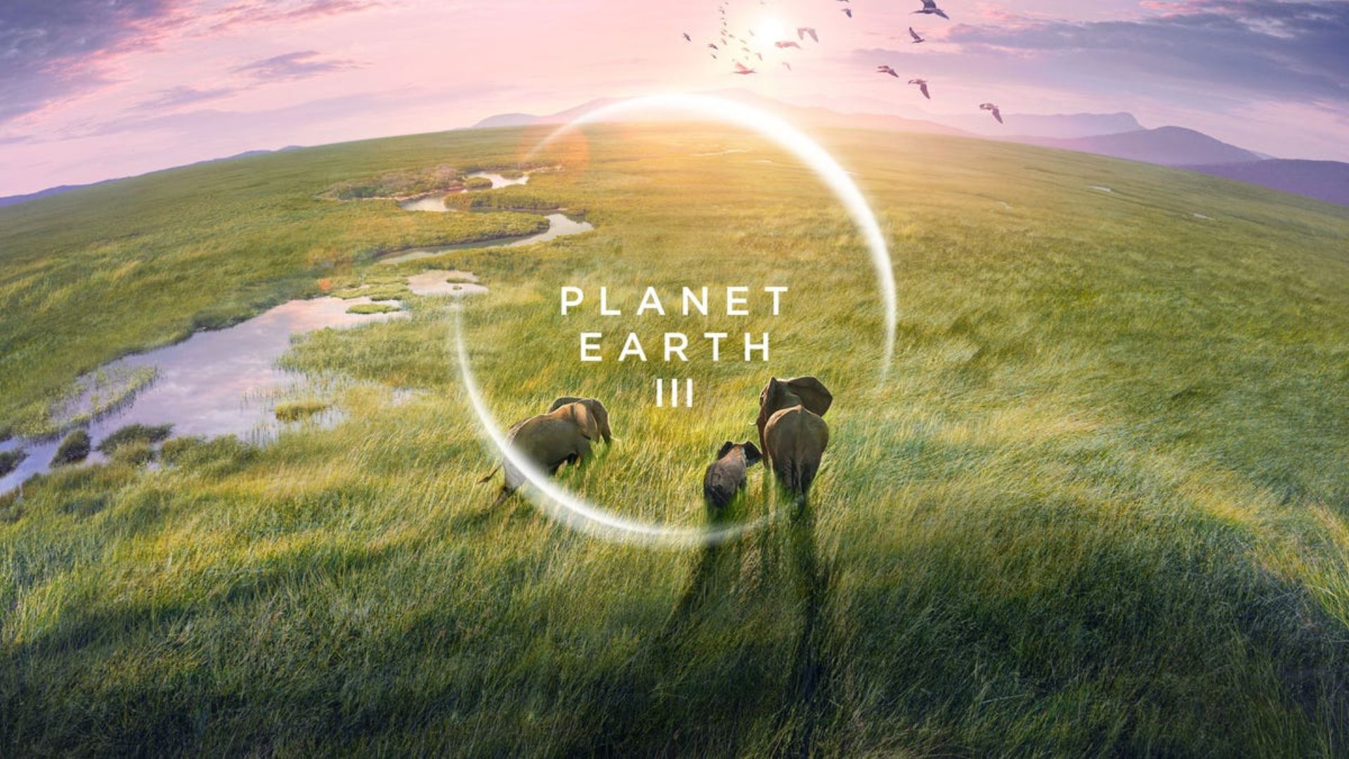 Planet Earth III: Making Of