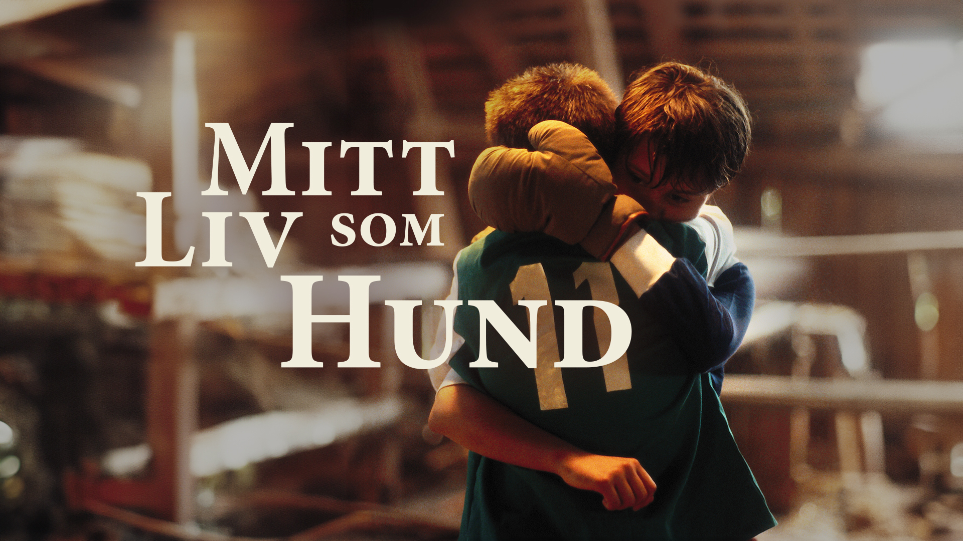 Mit Liv som Hund