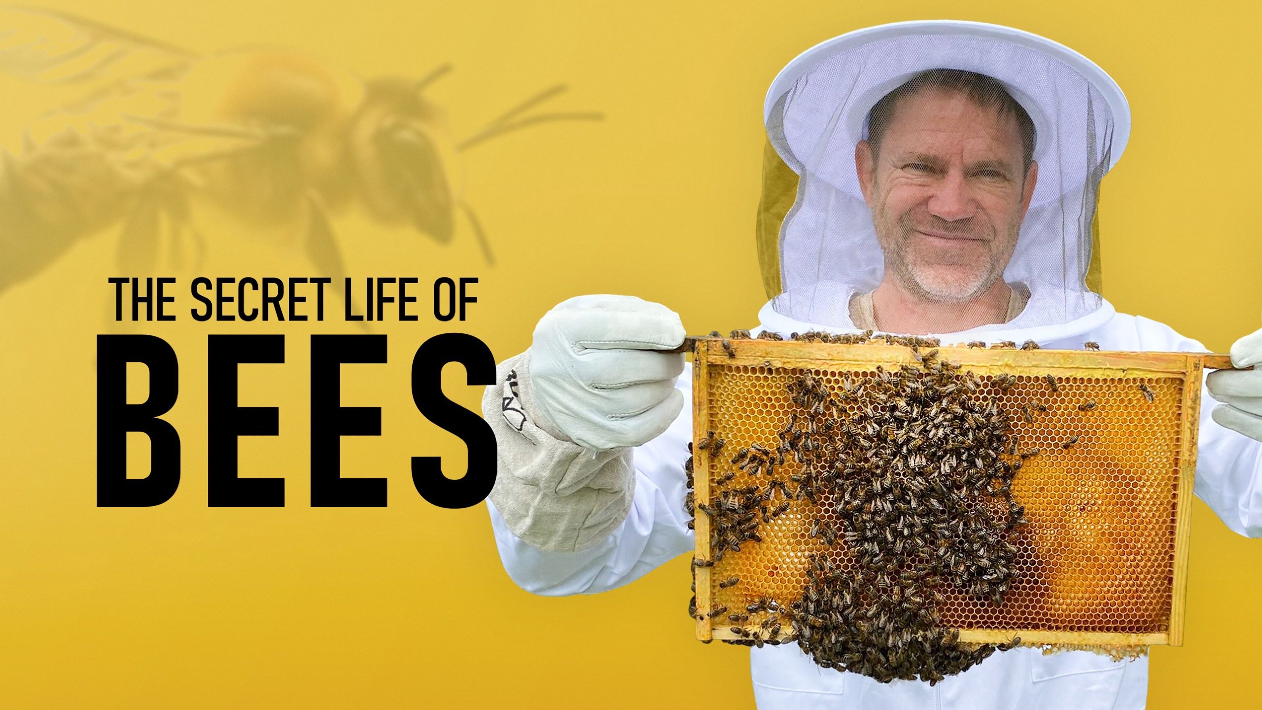 Biernes hemmelige liv med Steve Backshall