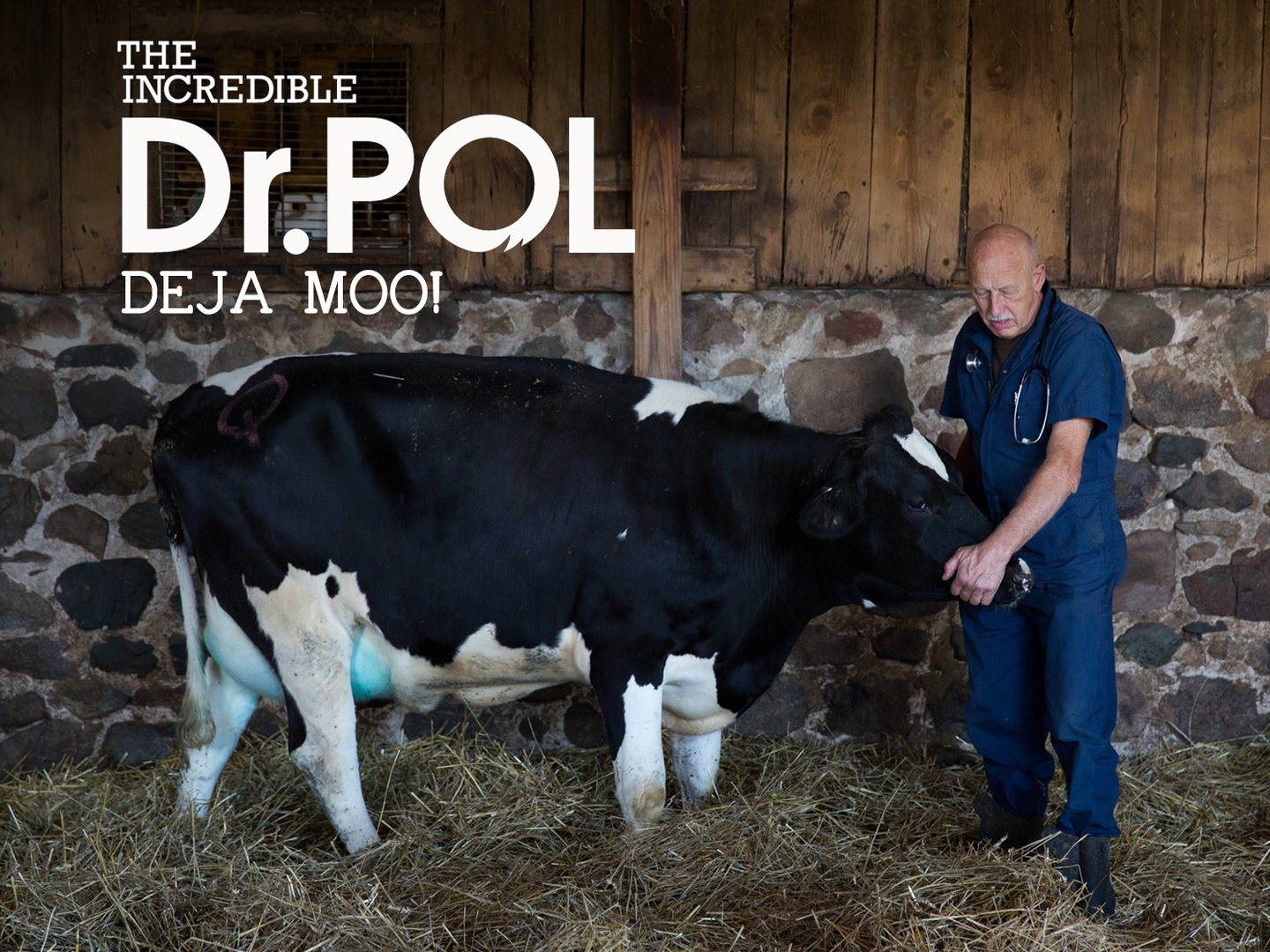 Det bedste fra Den utrolige dr. Pol