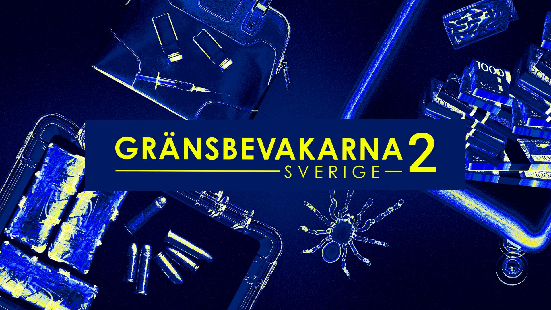 Grensevakten Sverige