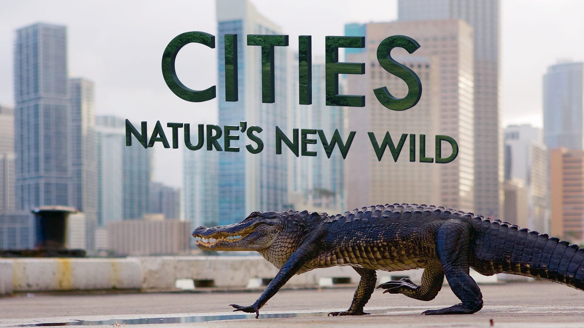 Byer: Velkommen til den ny natur
