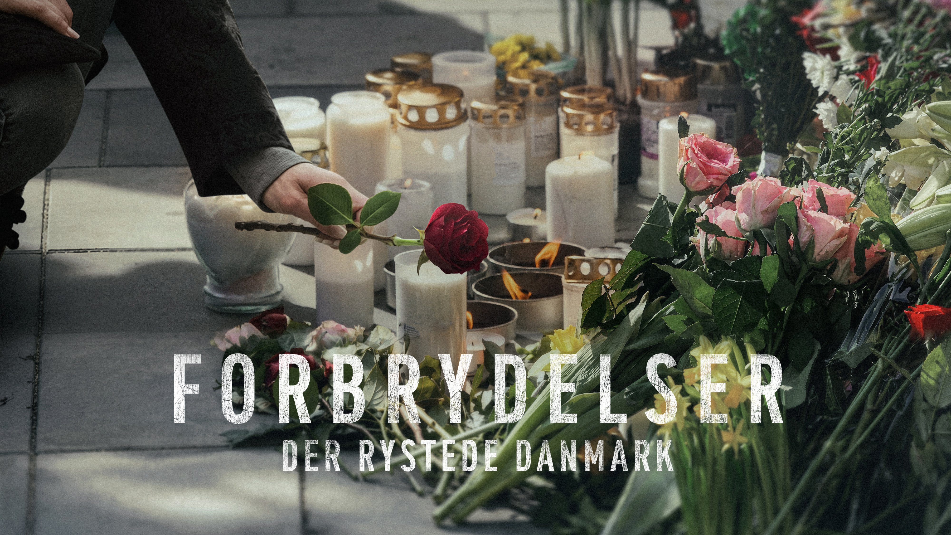 Forbrydelser der rystede Danmark