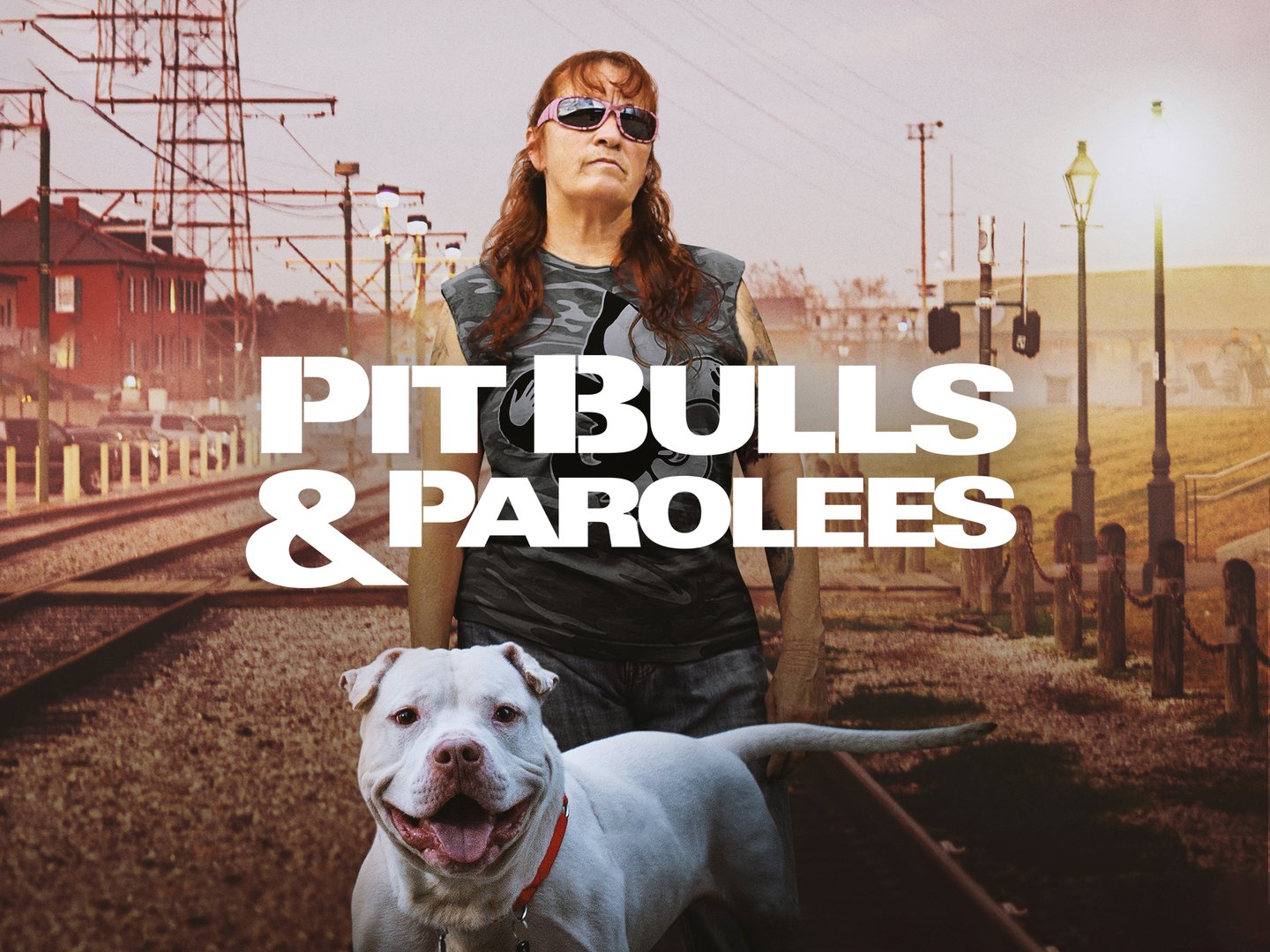 Pit Bulls & Parolees