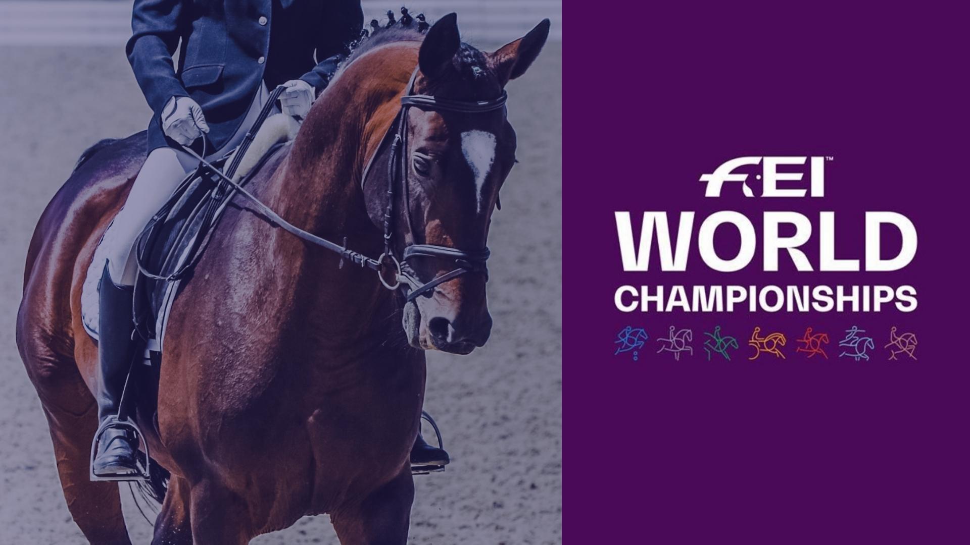 FEI World Championships
