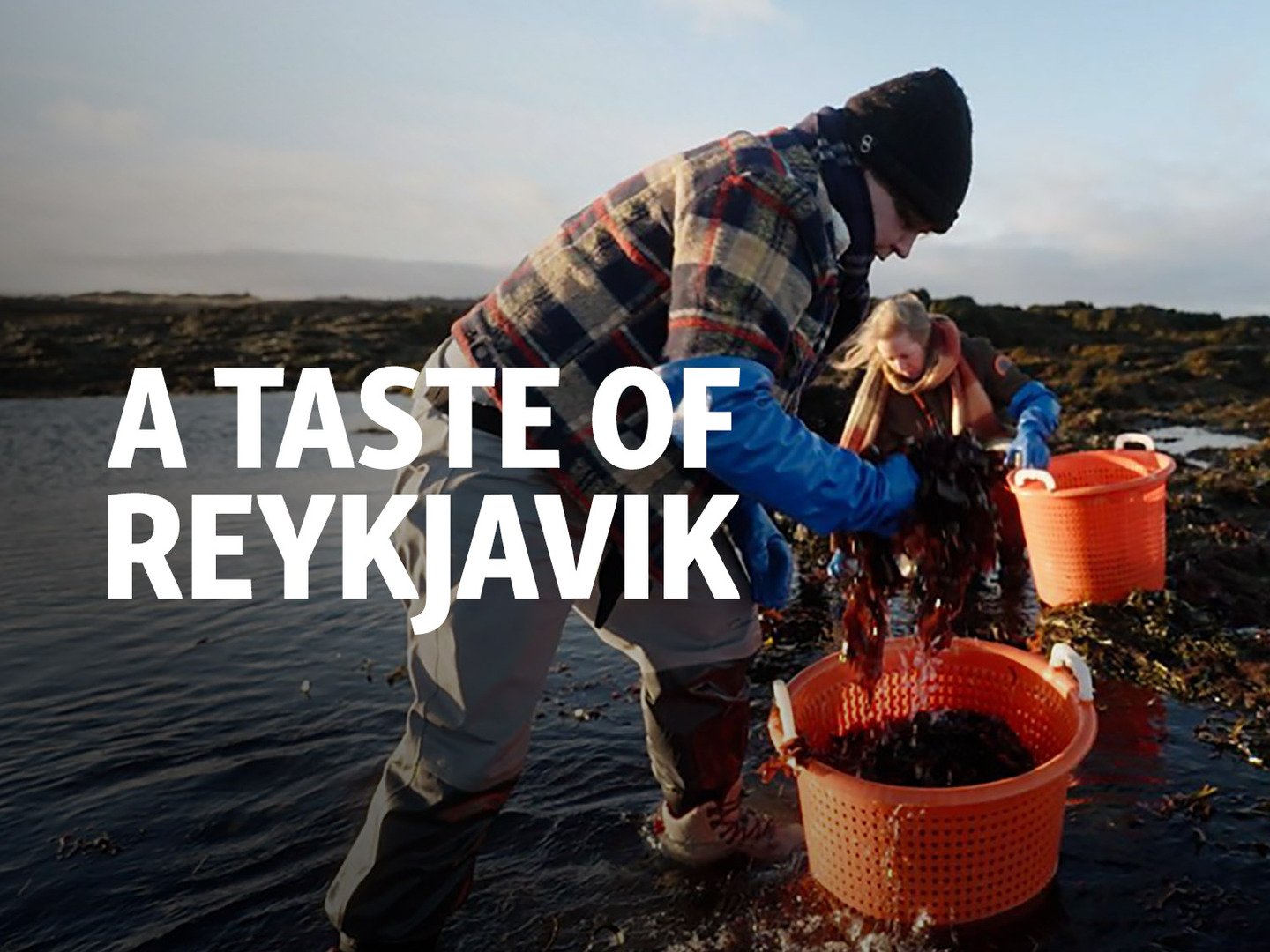 A Taste of Reykjavik