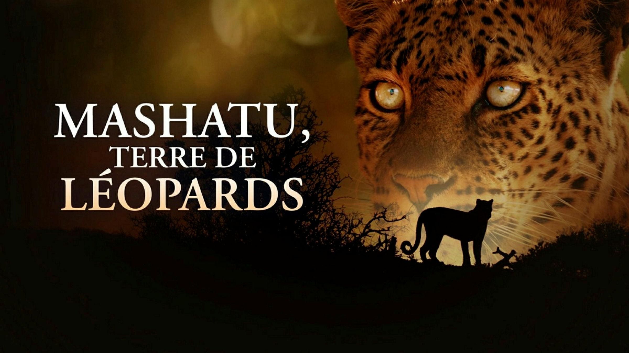 Mashatu: Land Of Leopards
