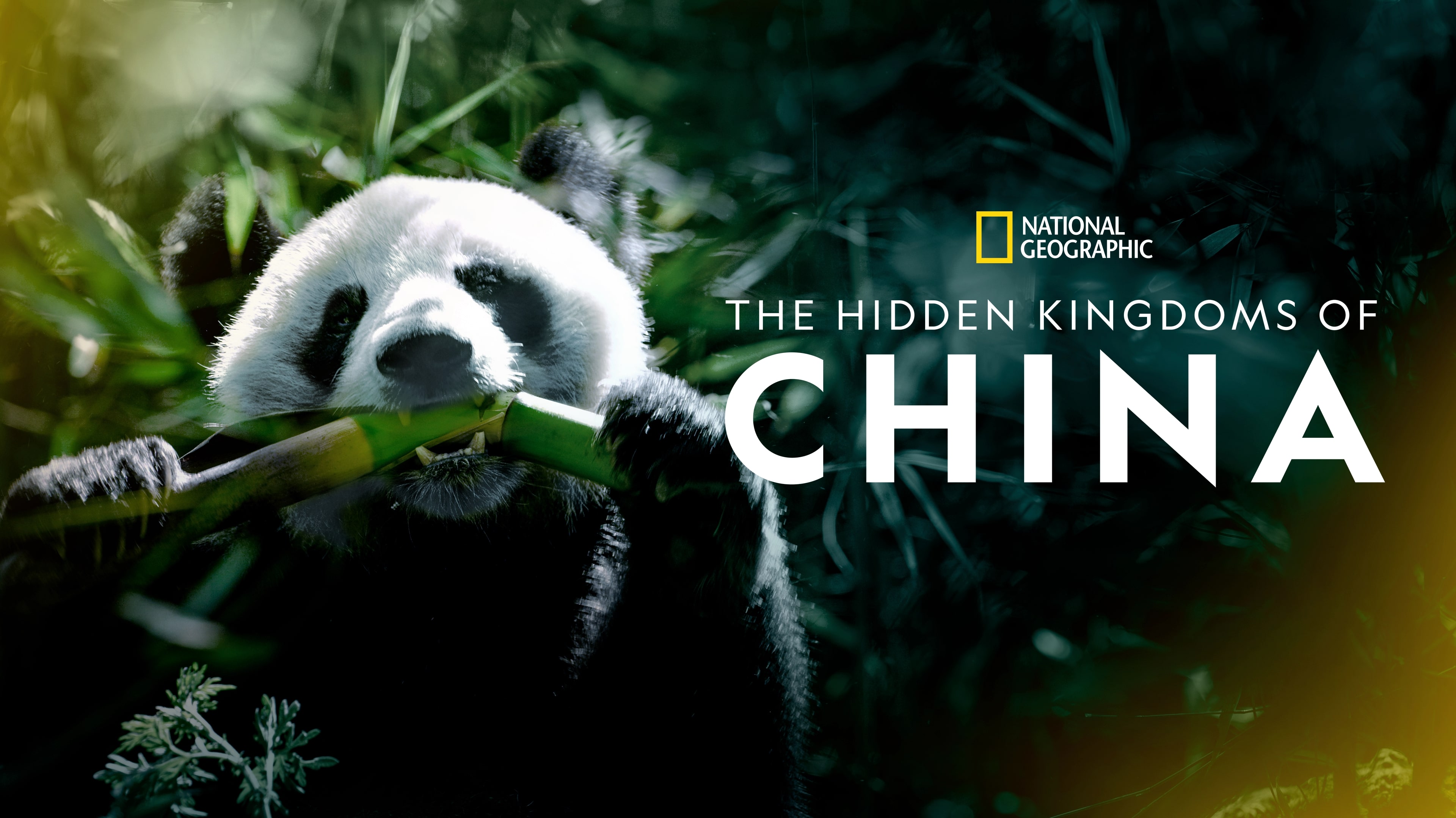 The Hidden Kingdoms of China