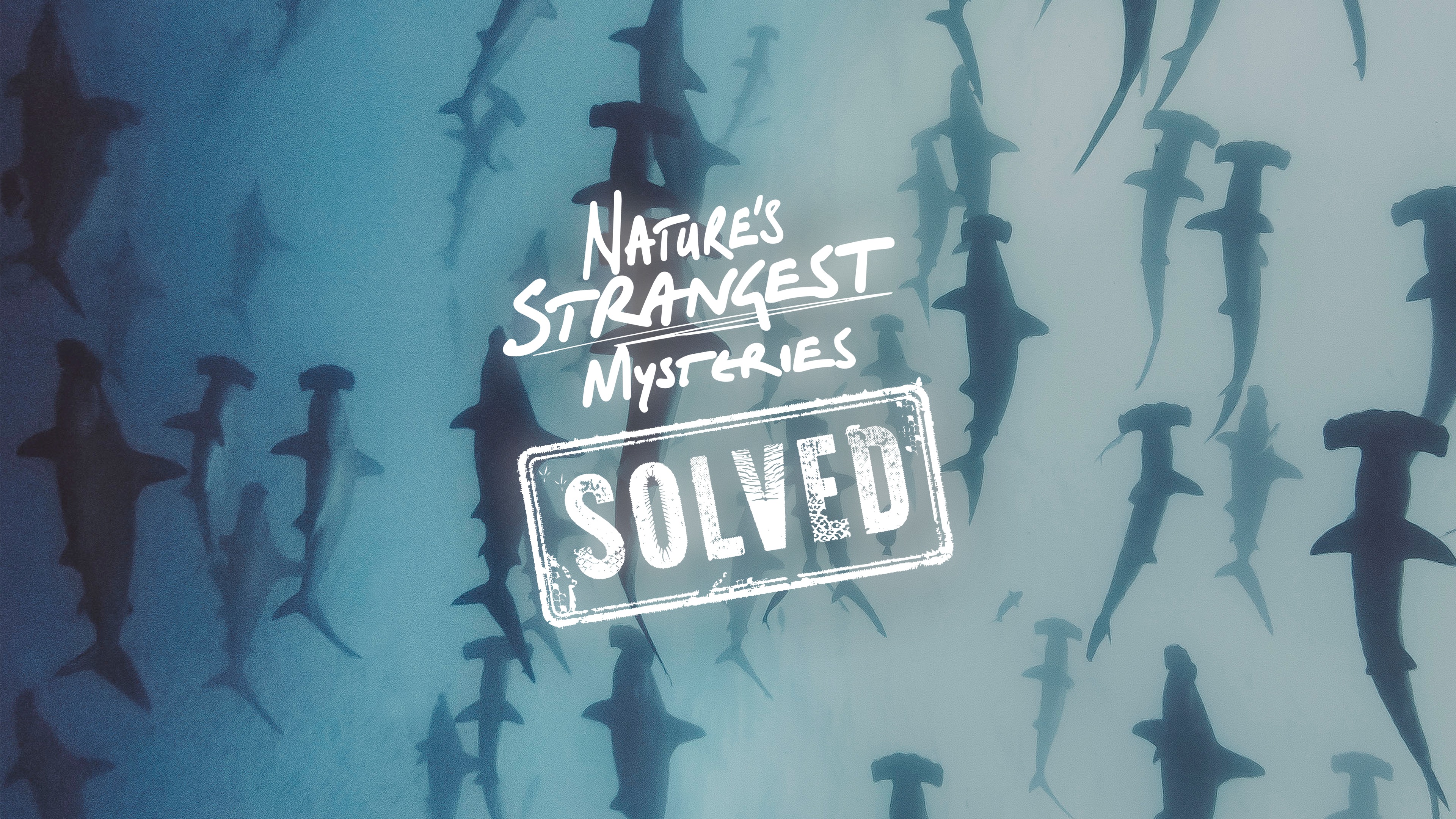 Nature's Strangest Mysteries: Solved