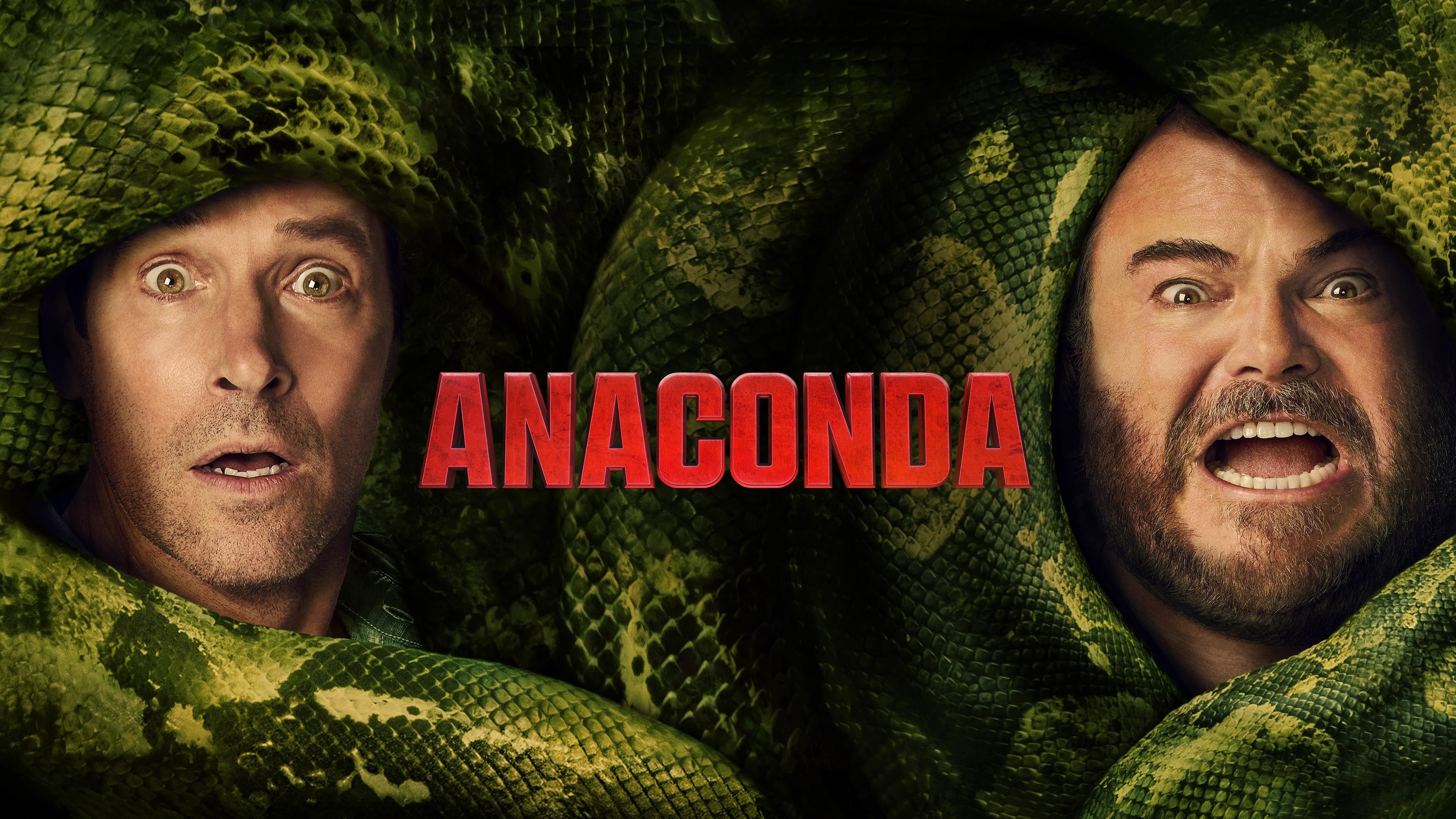 Anaconda