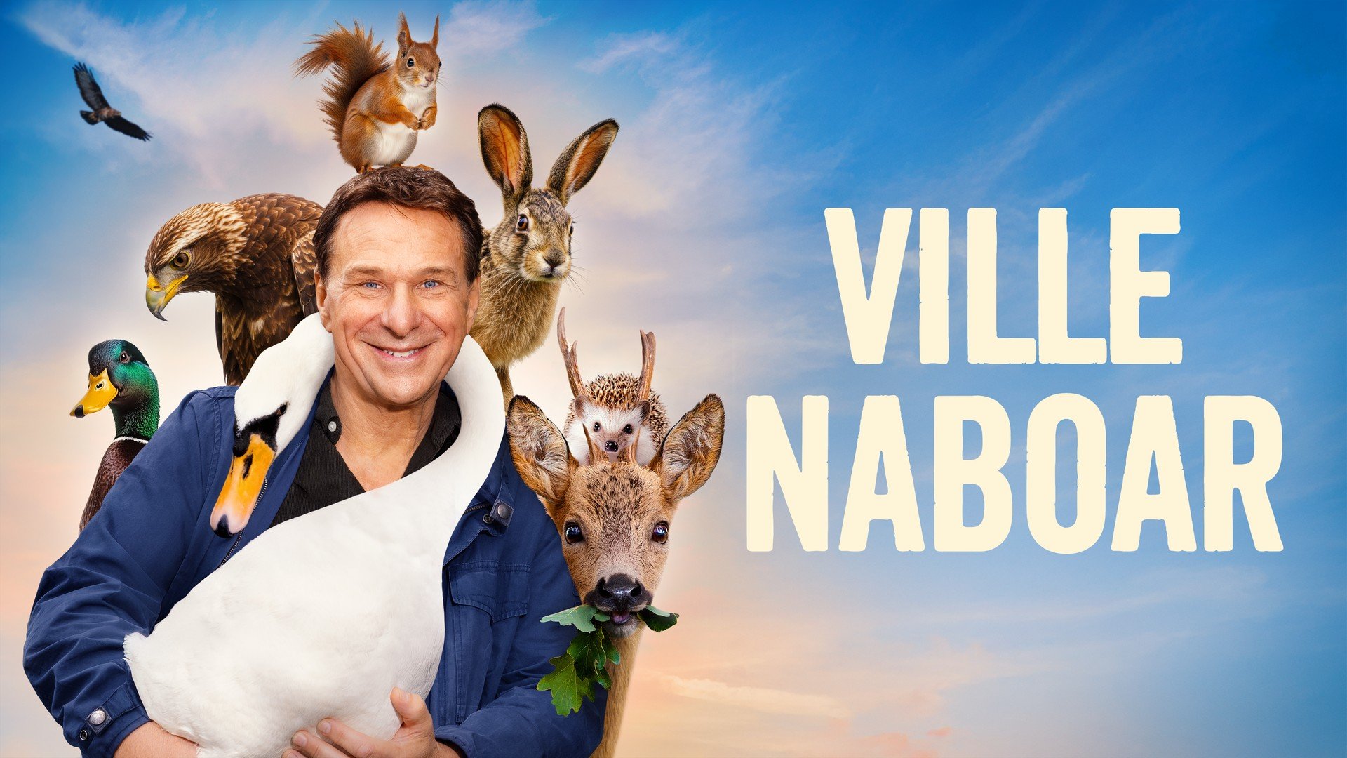 Ville naboar