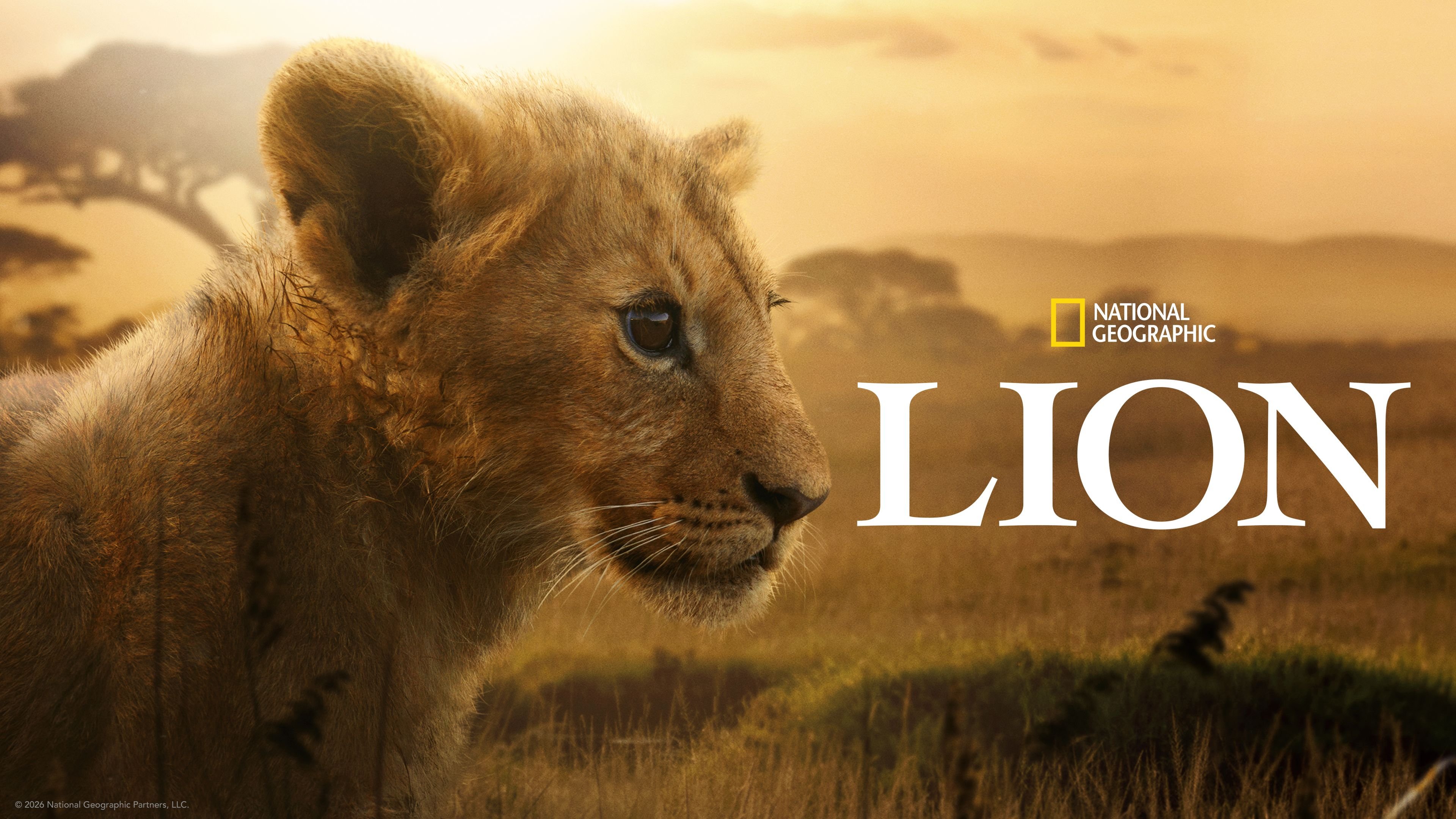 Lion