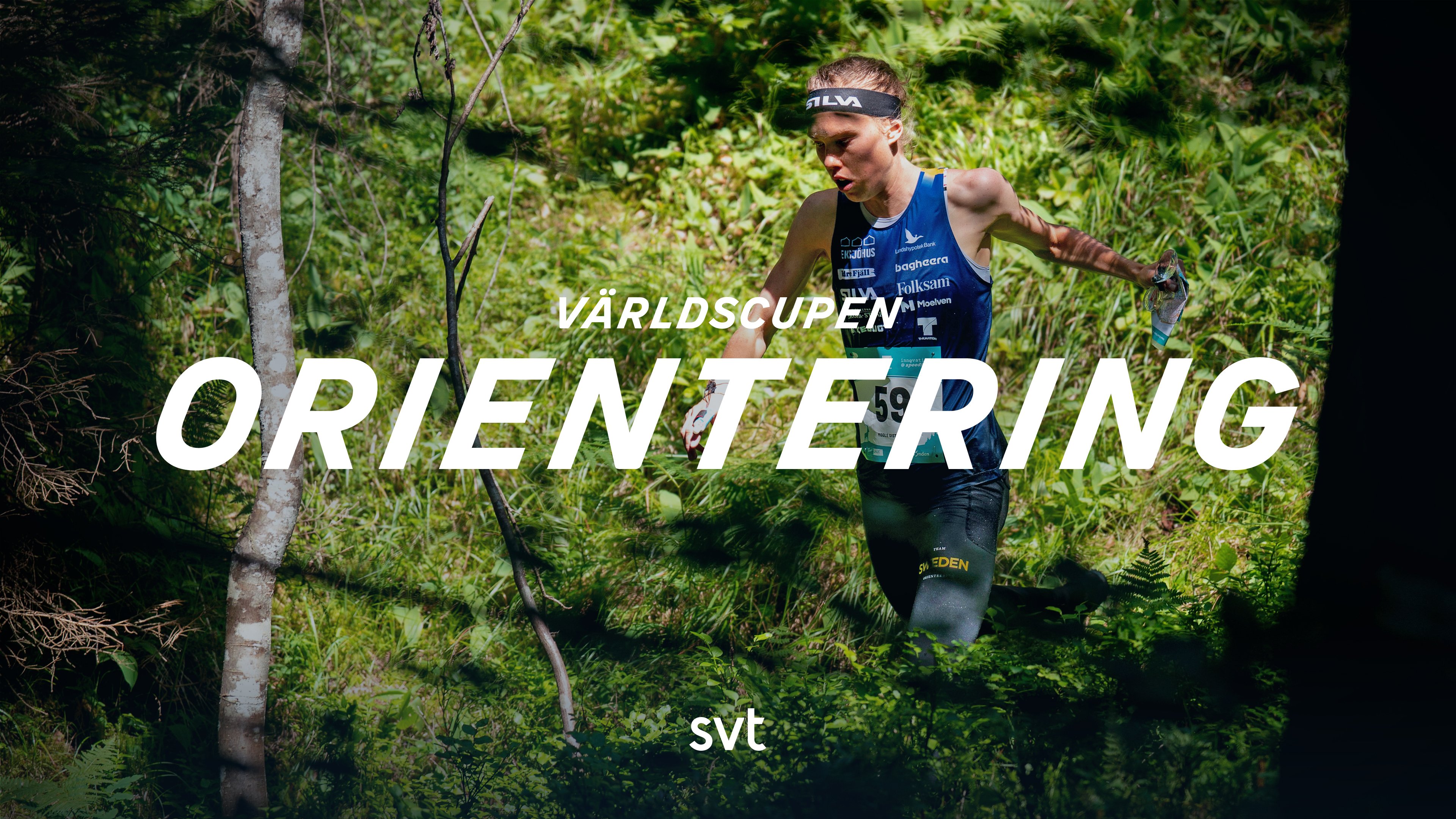Orientering: Världscupen