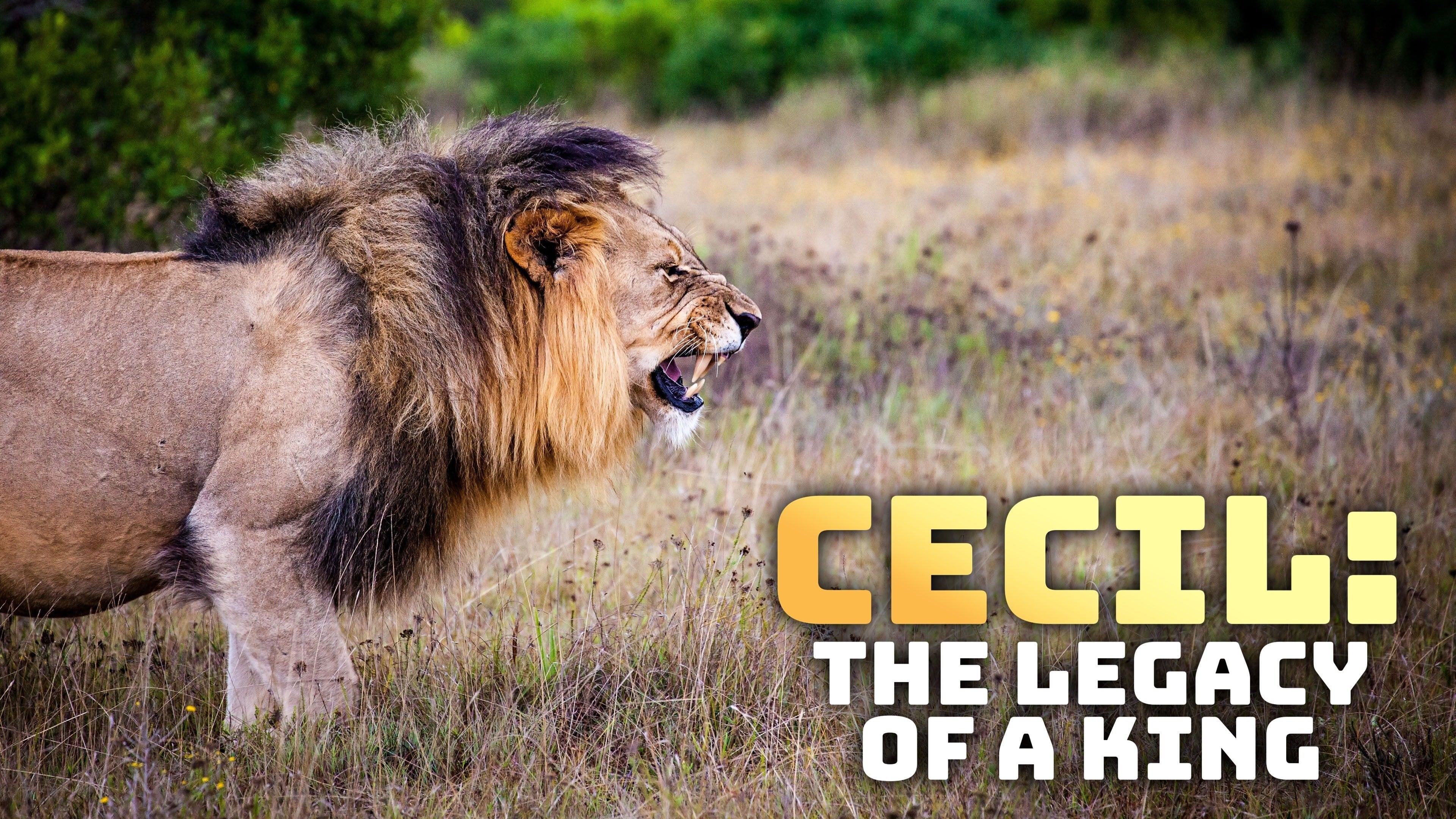 Cecil: En konges arv