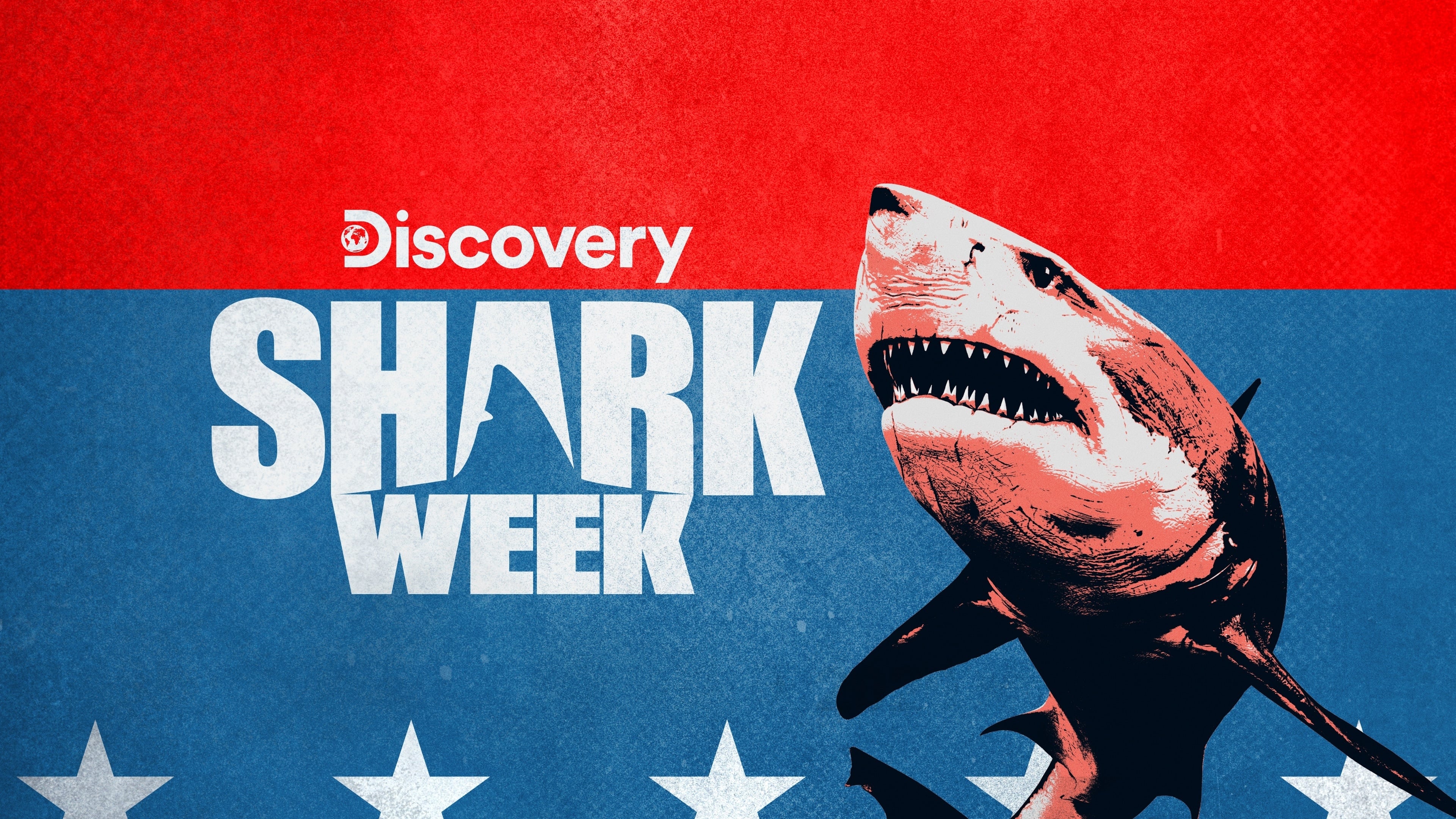 Sharks Of The Badlands