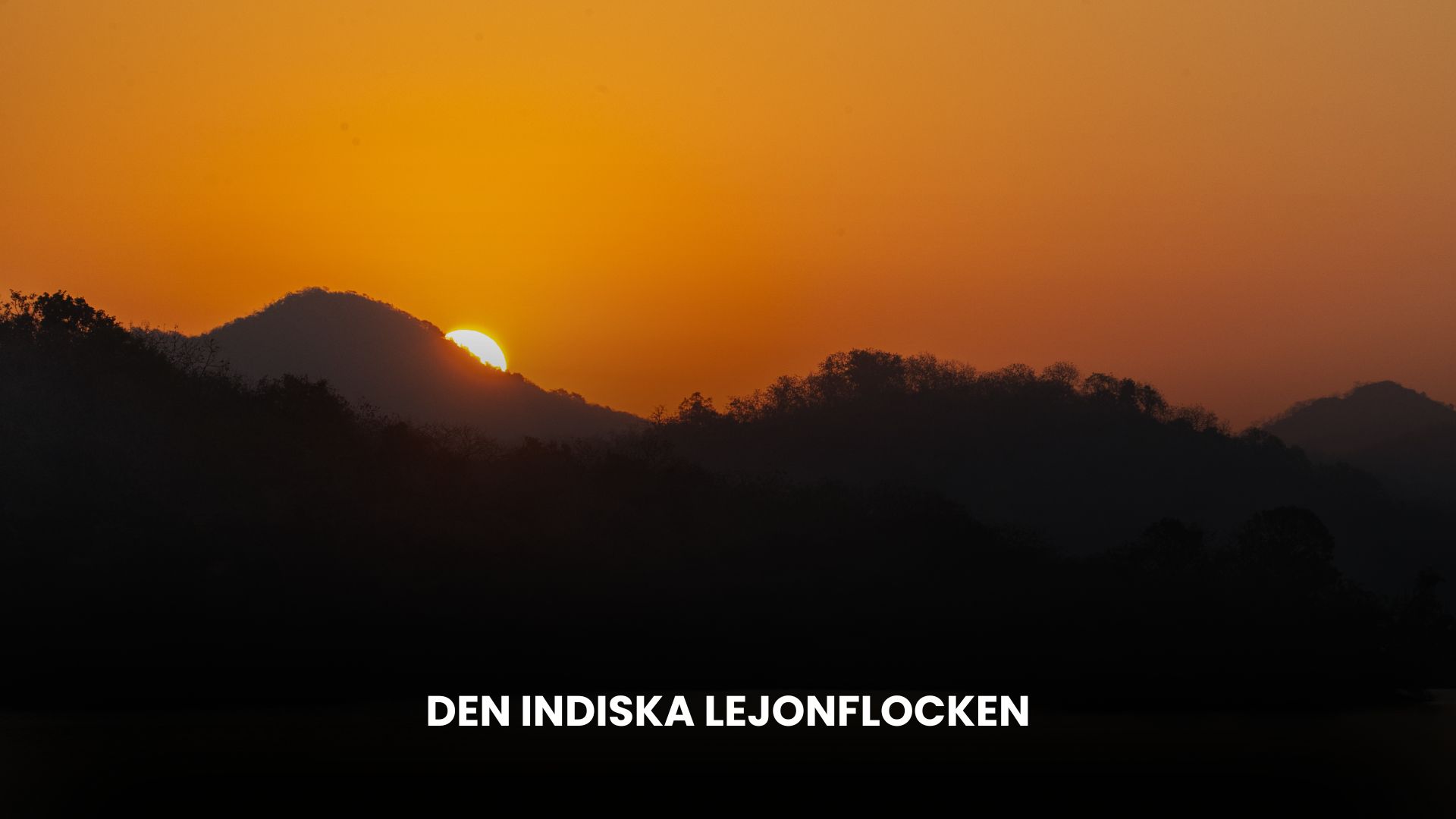 Indiens stolthed