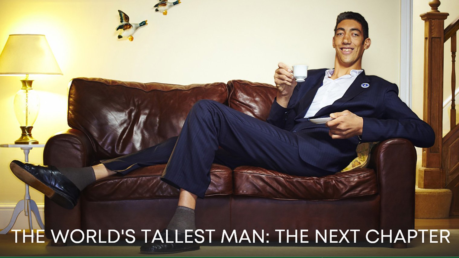 The World's Tallest Man: The Next Chapter