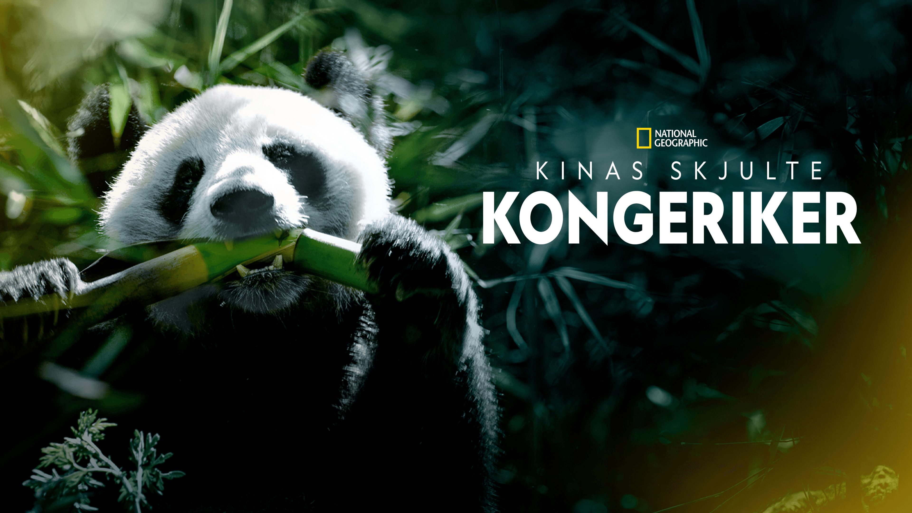 Kinas skjulte kongeriker