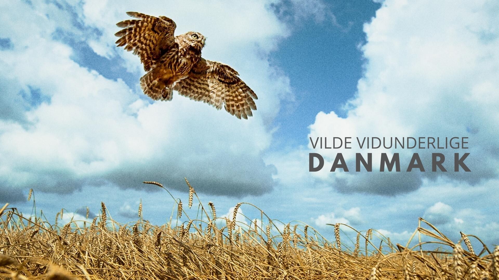 Vilde vidunderlige Danmark