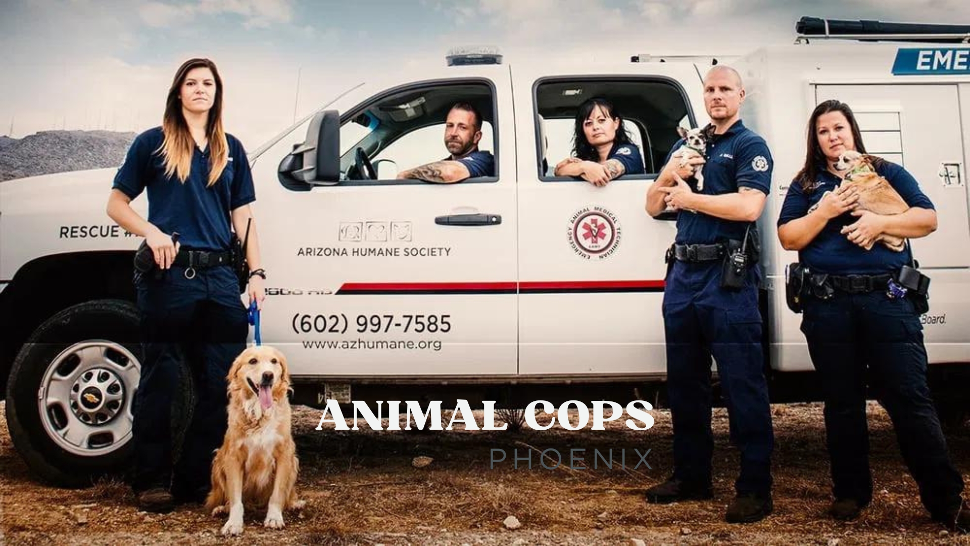 Animal Cops Phoenix