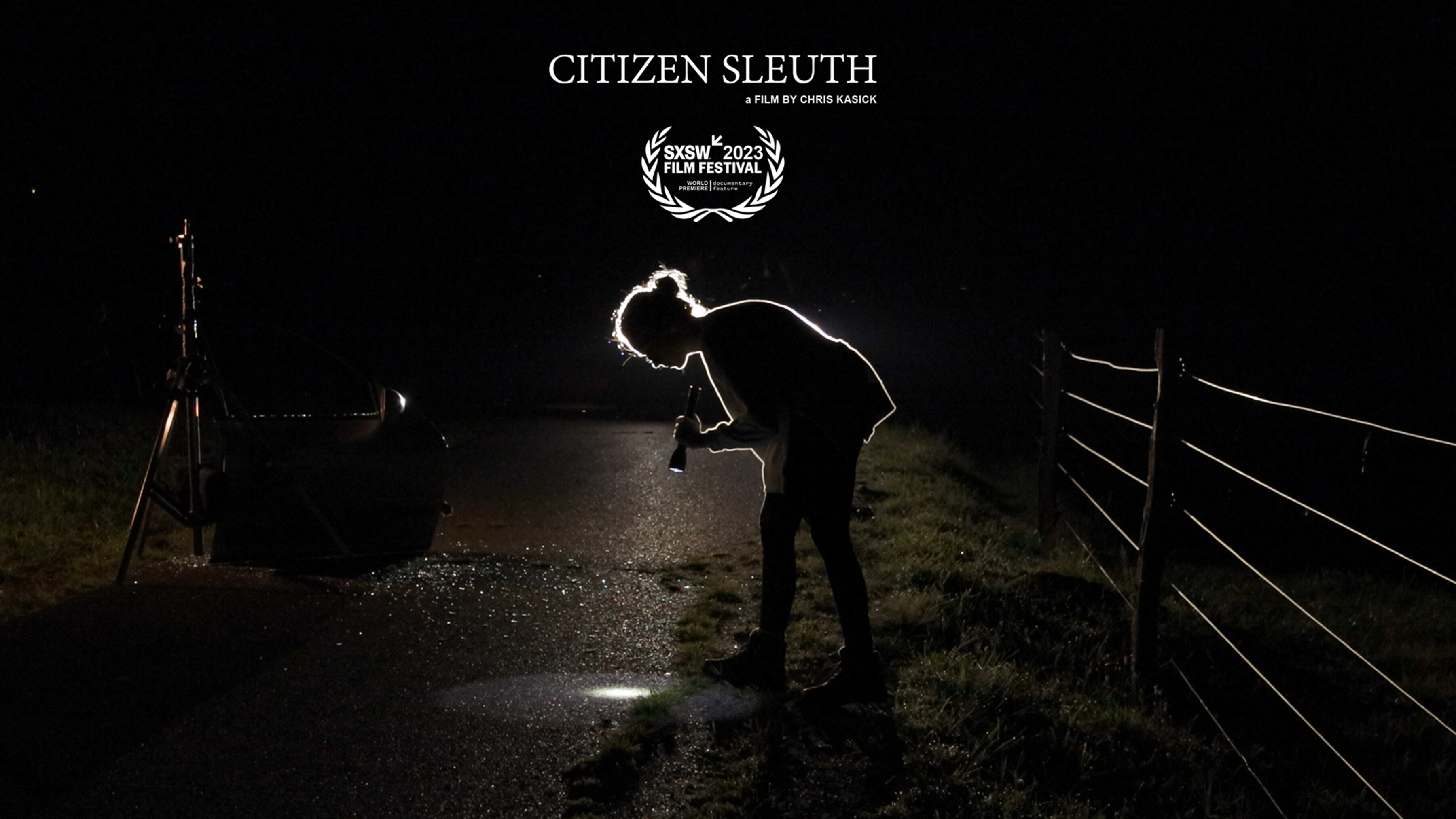 Citizen Sleuth