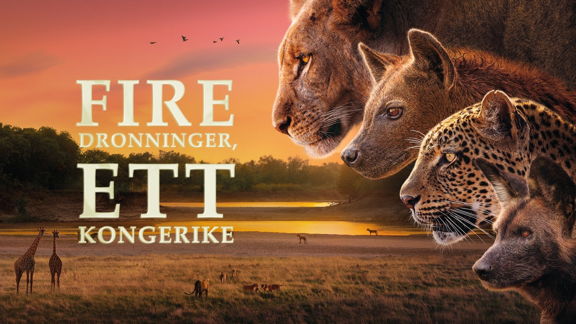 Fire dronninger, ett kongerike