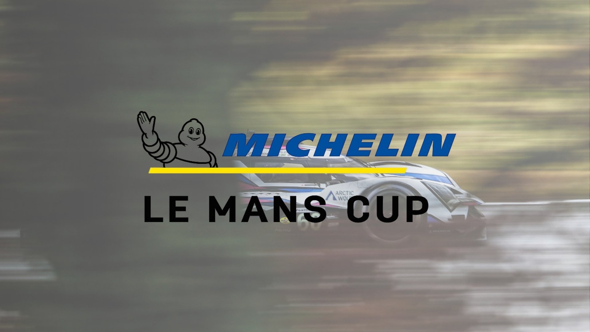 Michelin Le Mans Cup