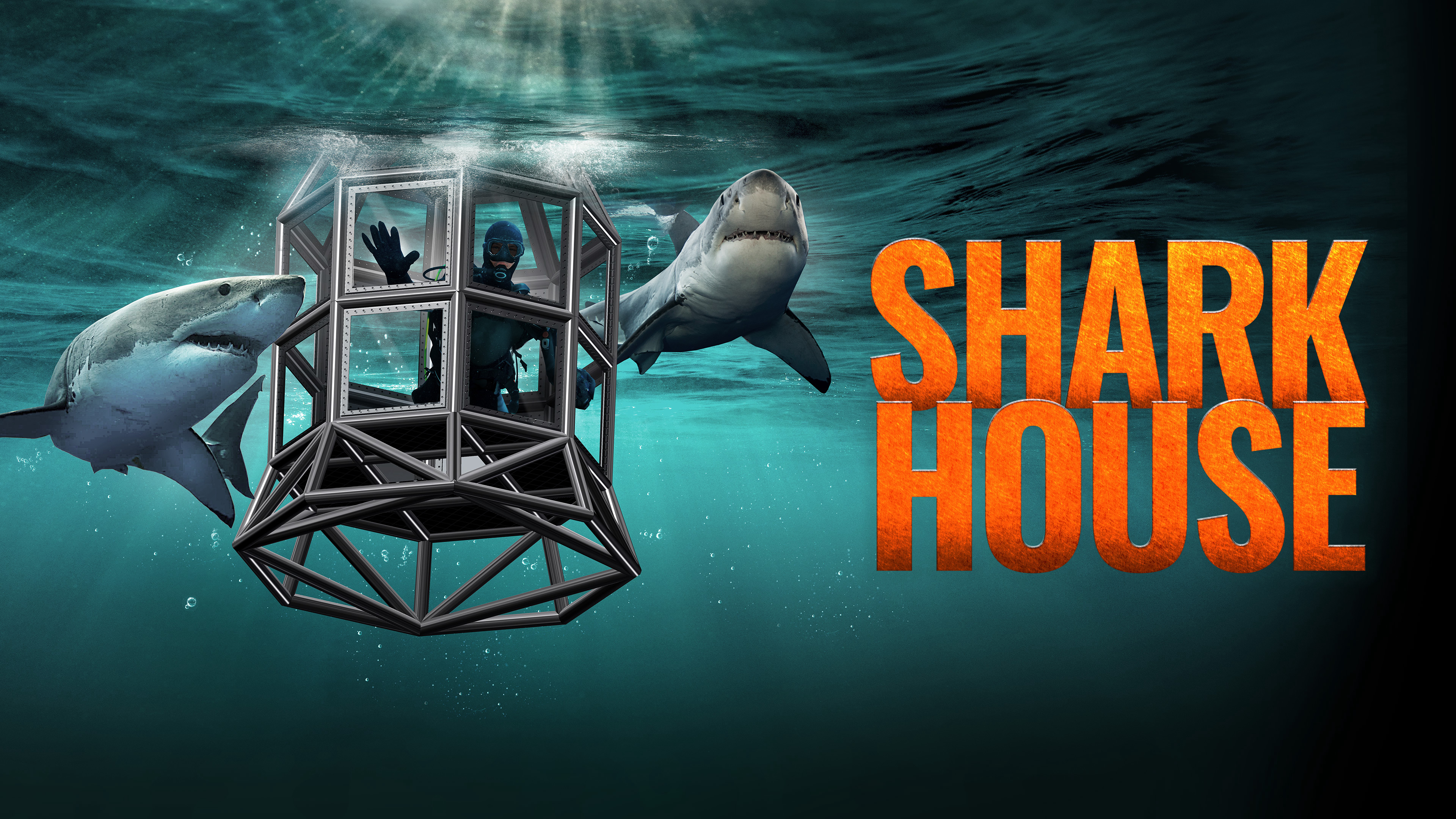 House Of Sharks