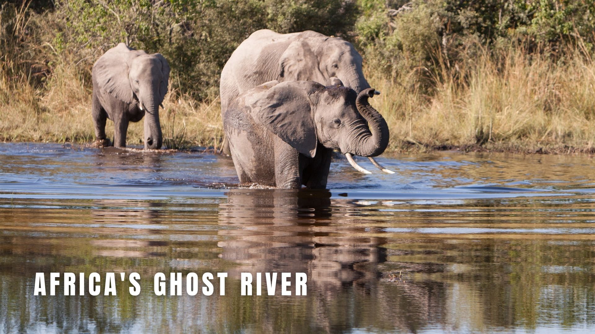 Africa's Ghost River