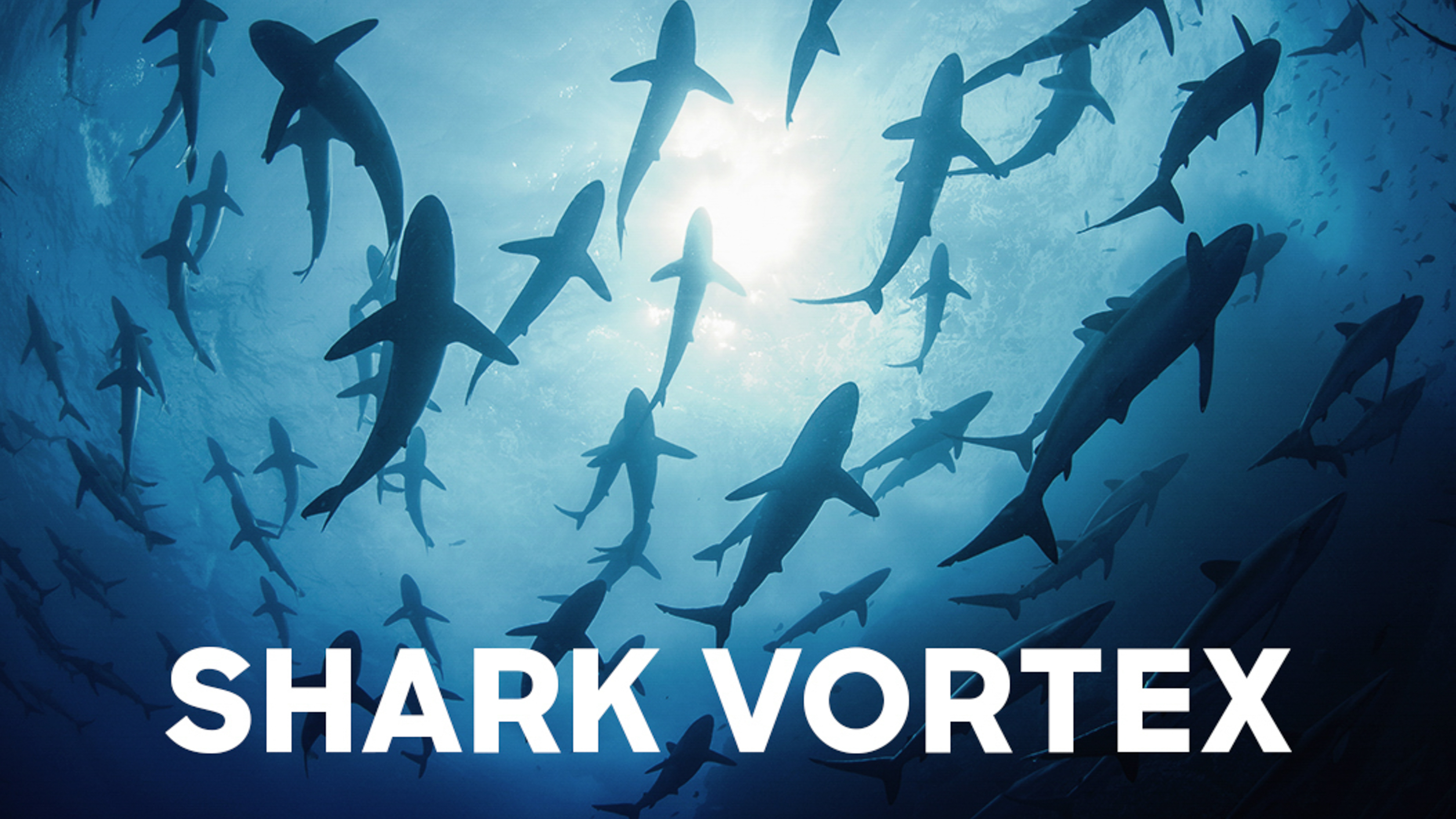 Shark Vortex
