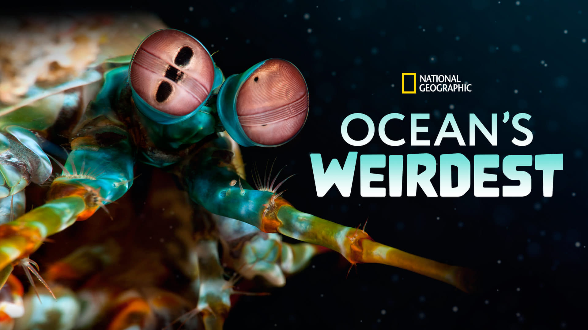 Ocean's Weirdest