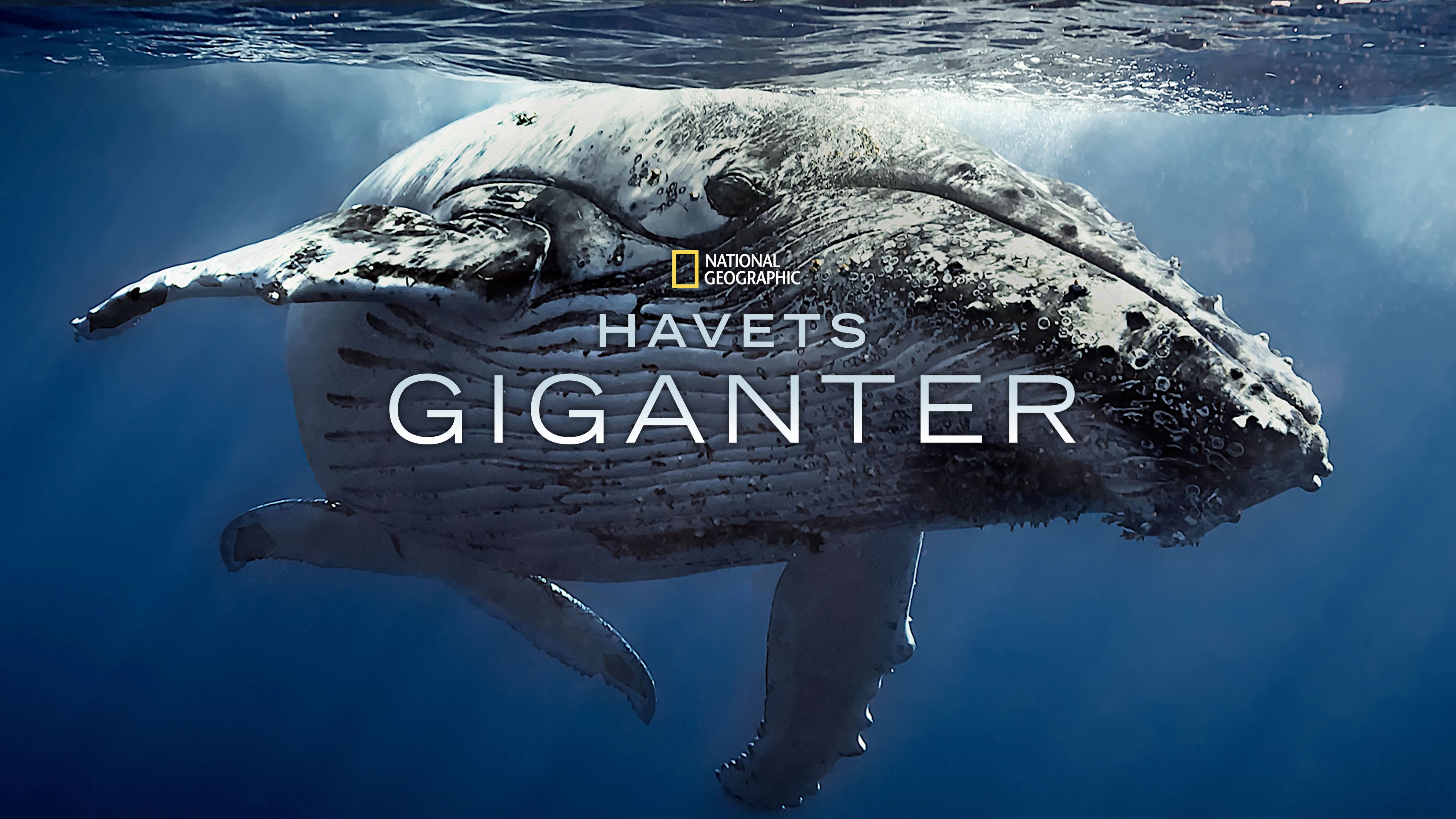 Havets giganter
