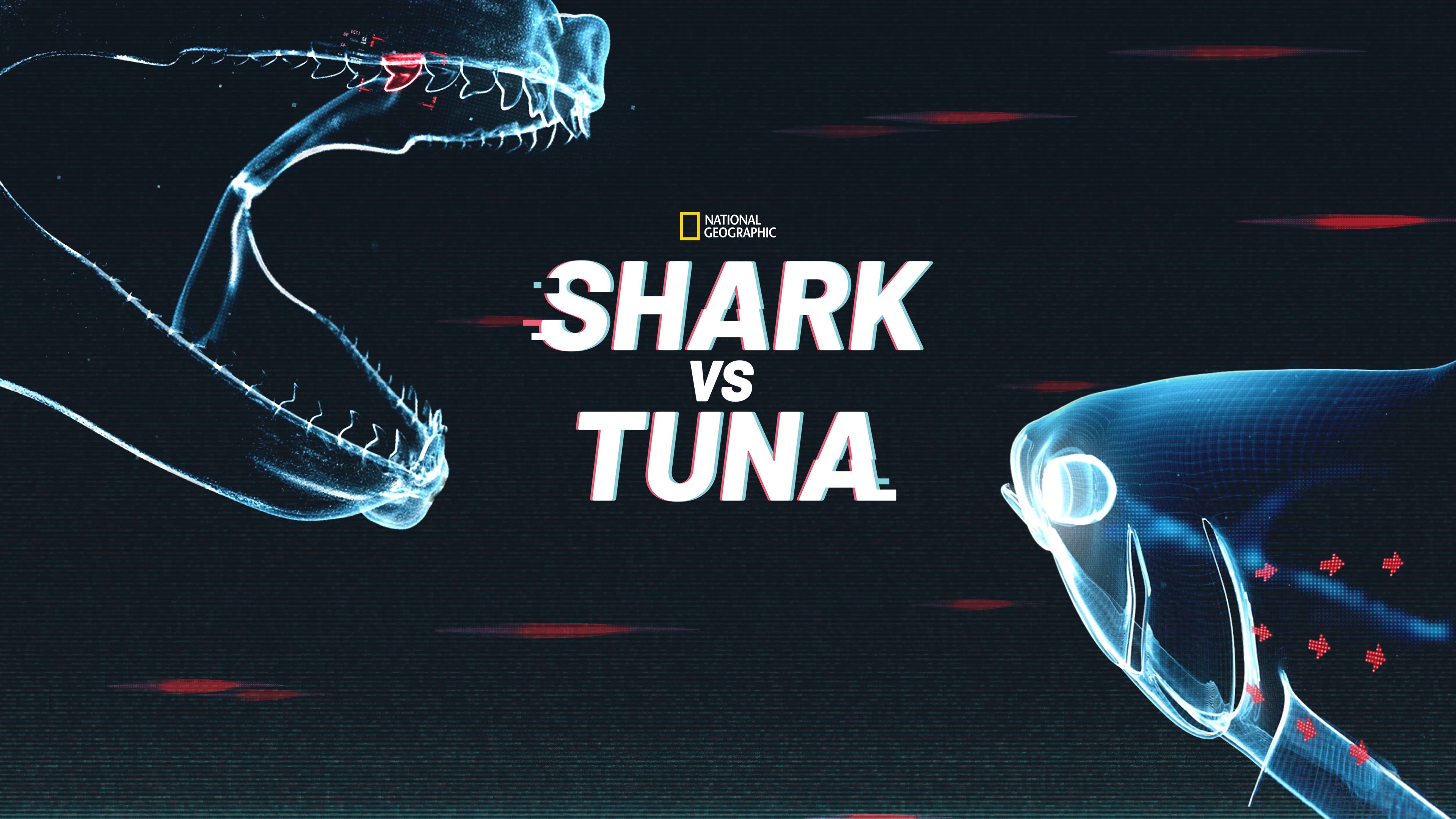 Shark Vs Tuna