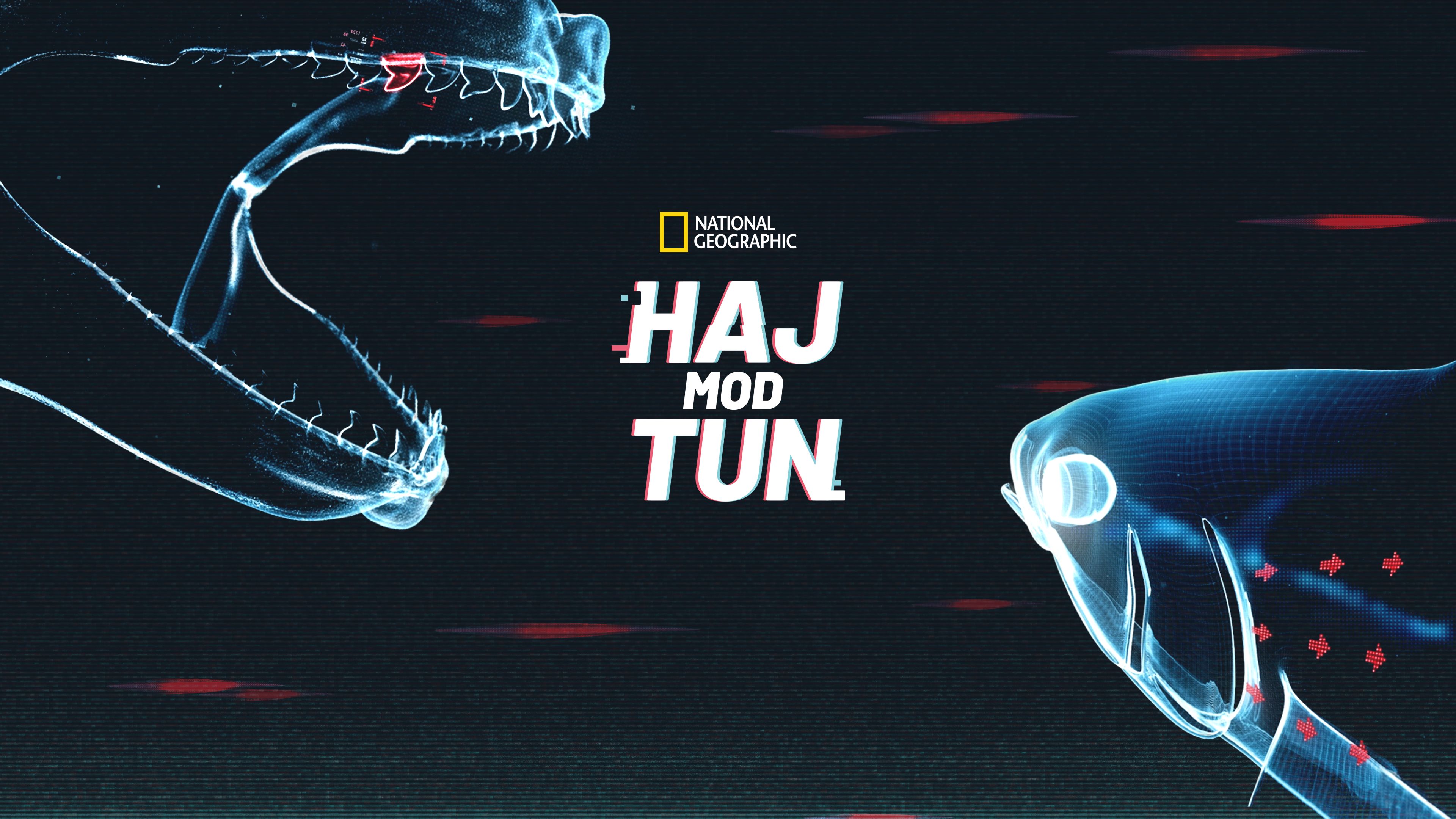Haj mod tun