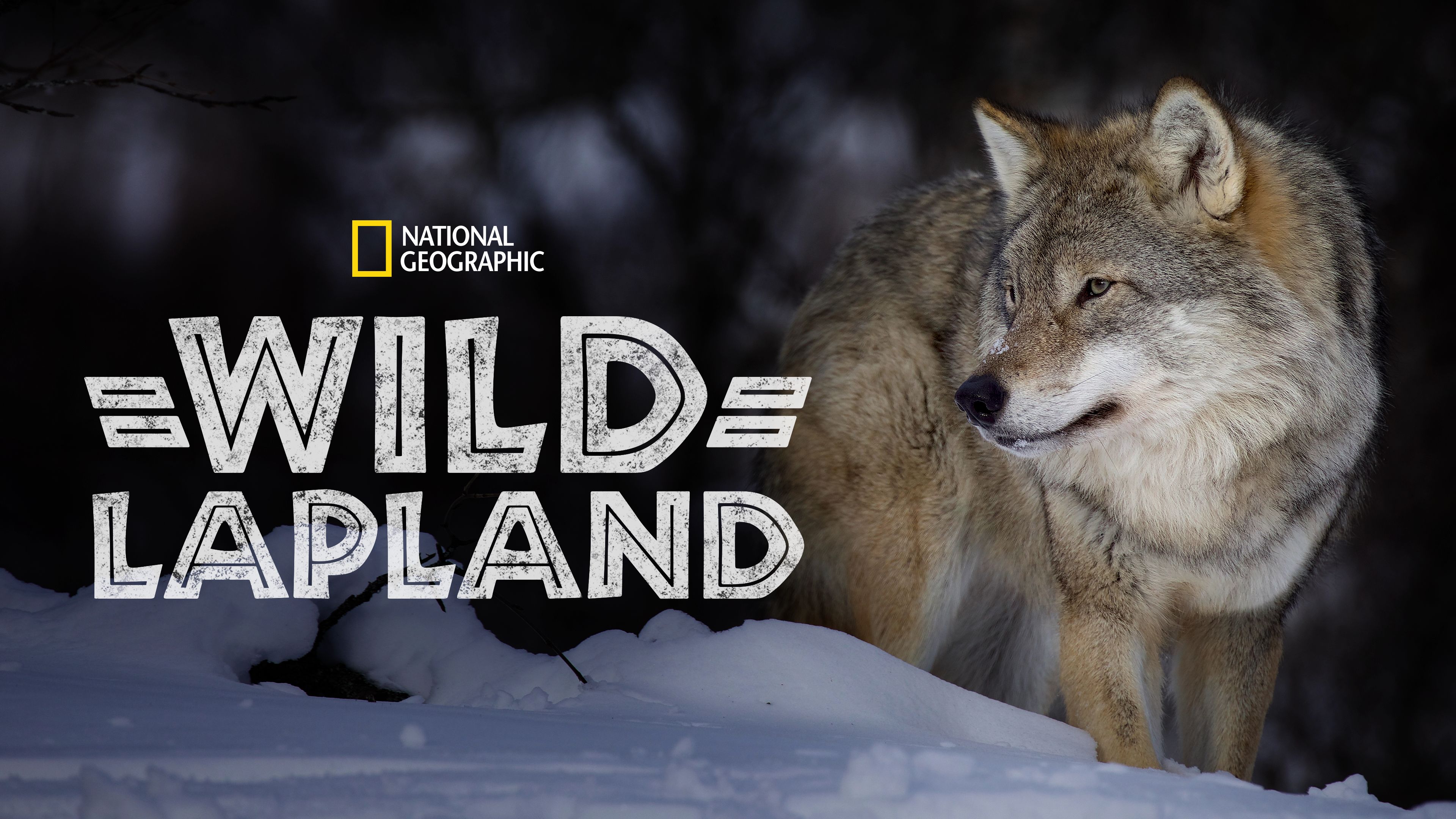 Wild Lapland
