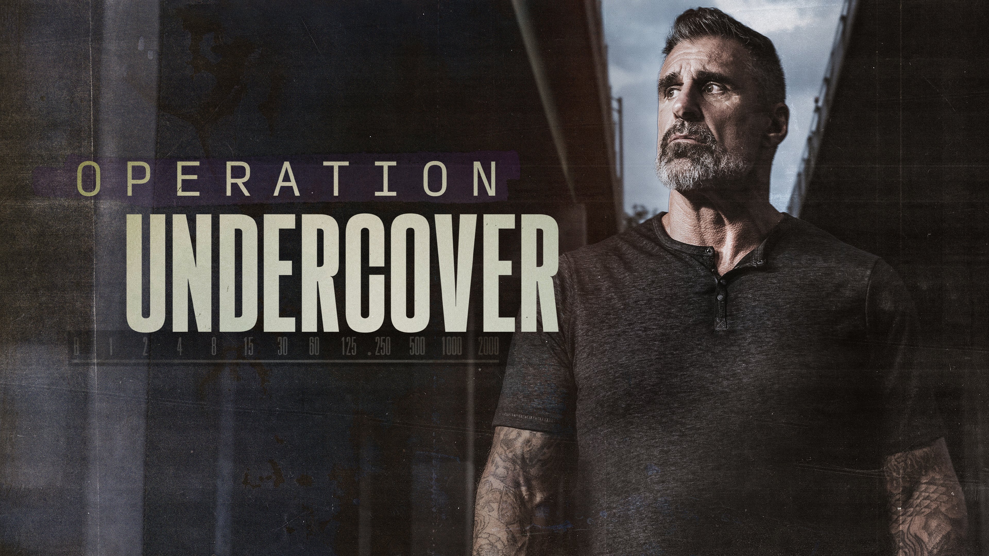 Operation Undercover