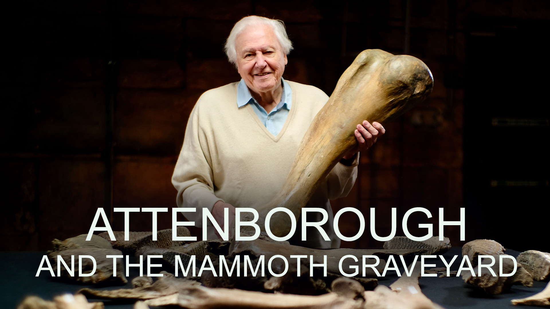 Attenborough og mammutterne