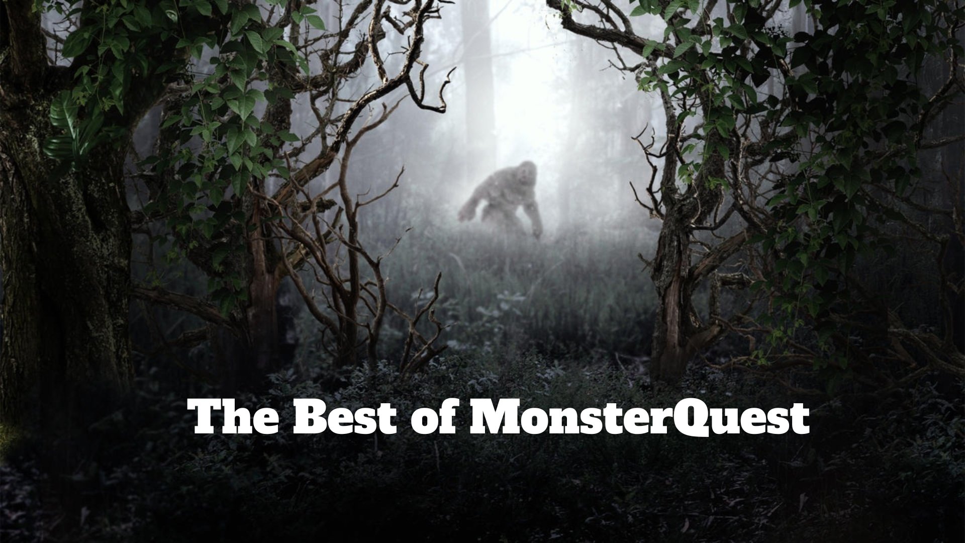 The Best of MonsterQuest