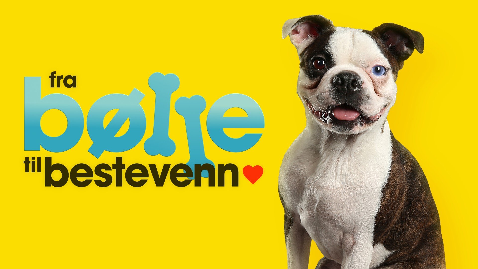 Fra bølle til bestevenn
