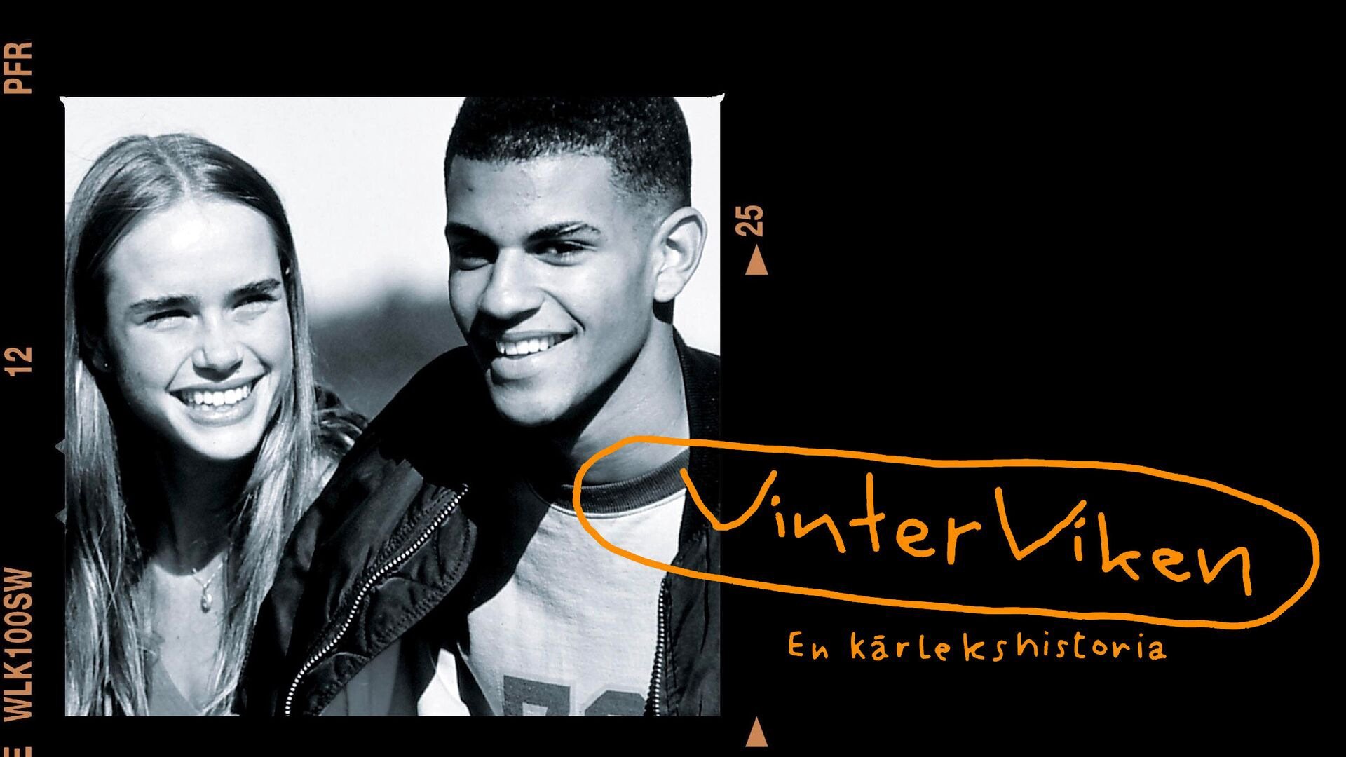 Vinterviken