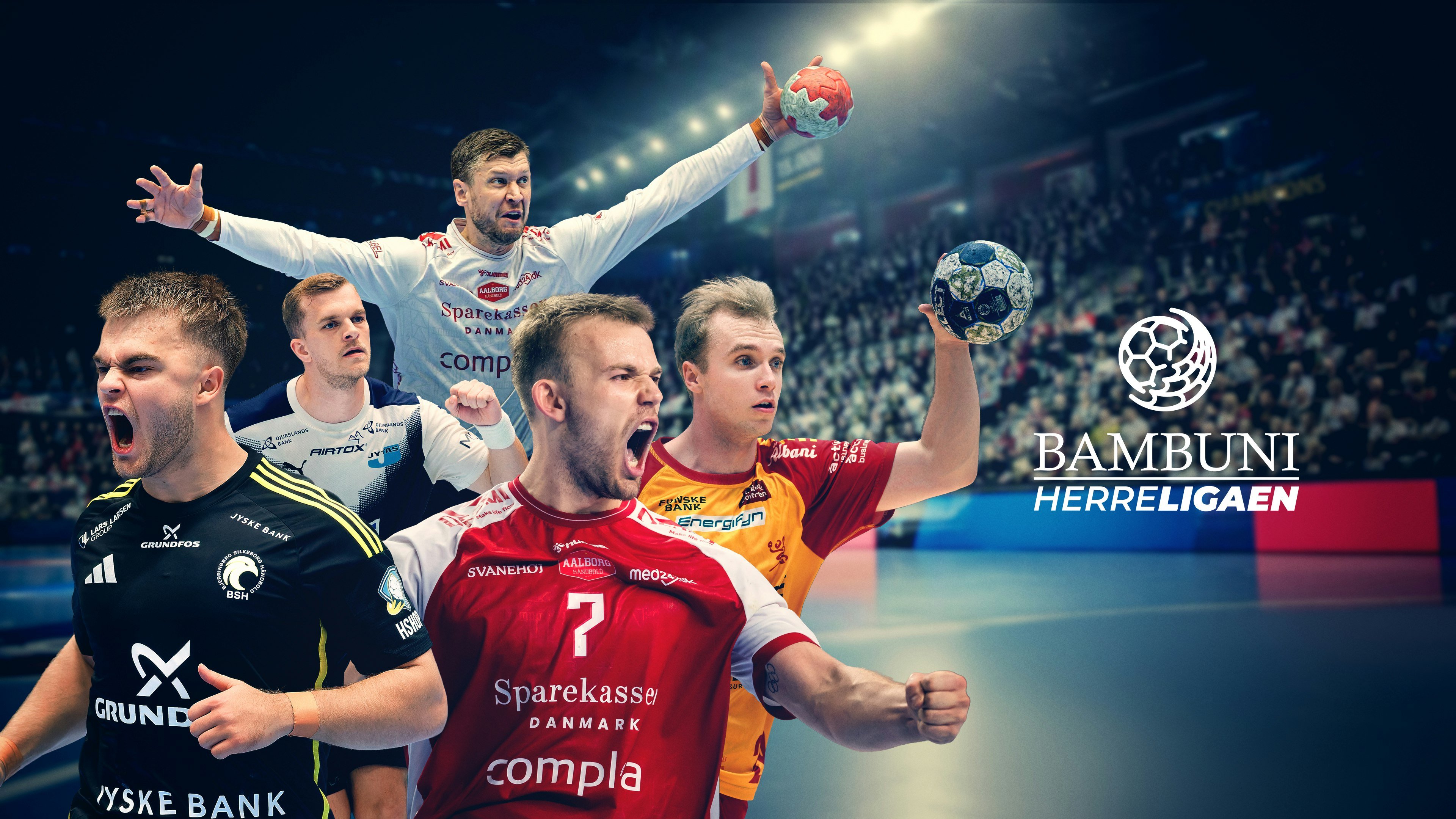 Håndbold (m): Håndboldligaen - Kampe