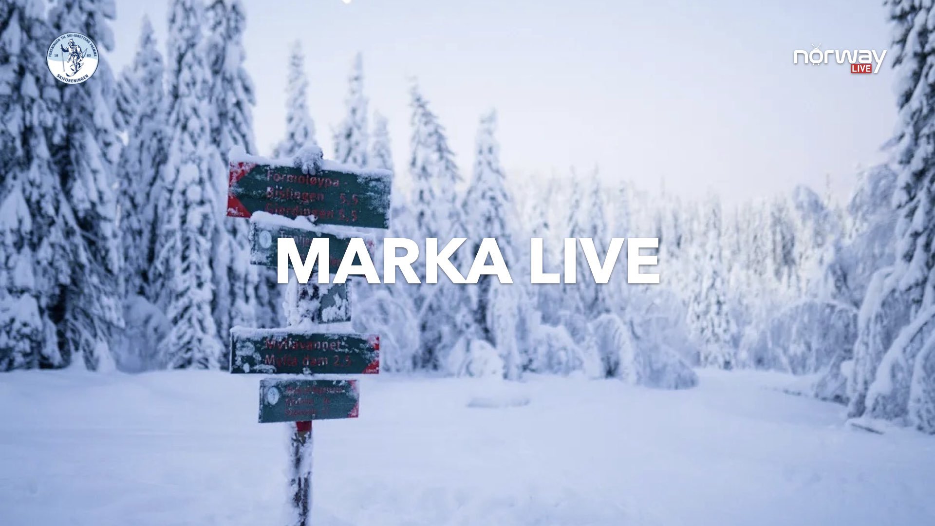 Marka LIVE!