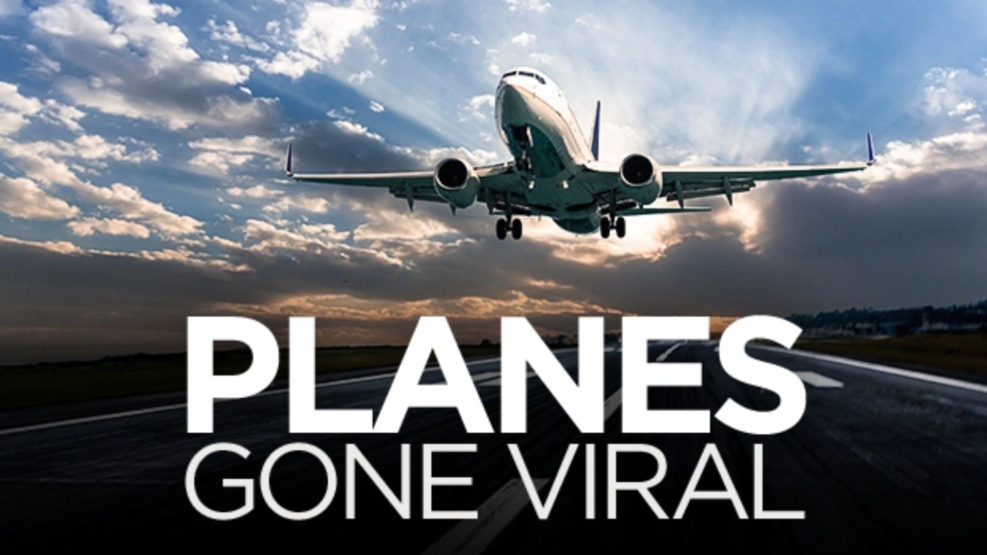 Virale fly