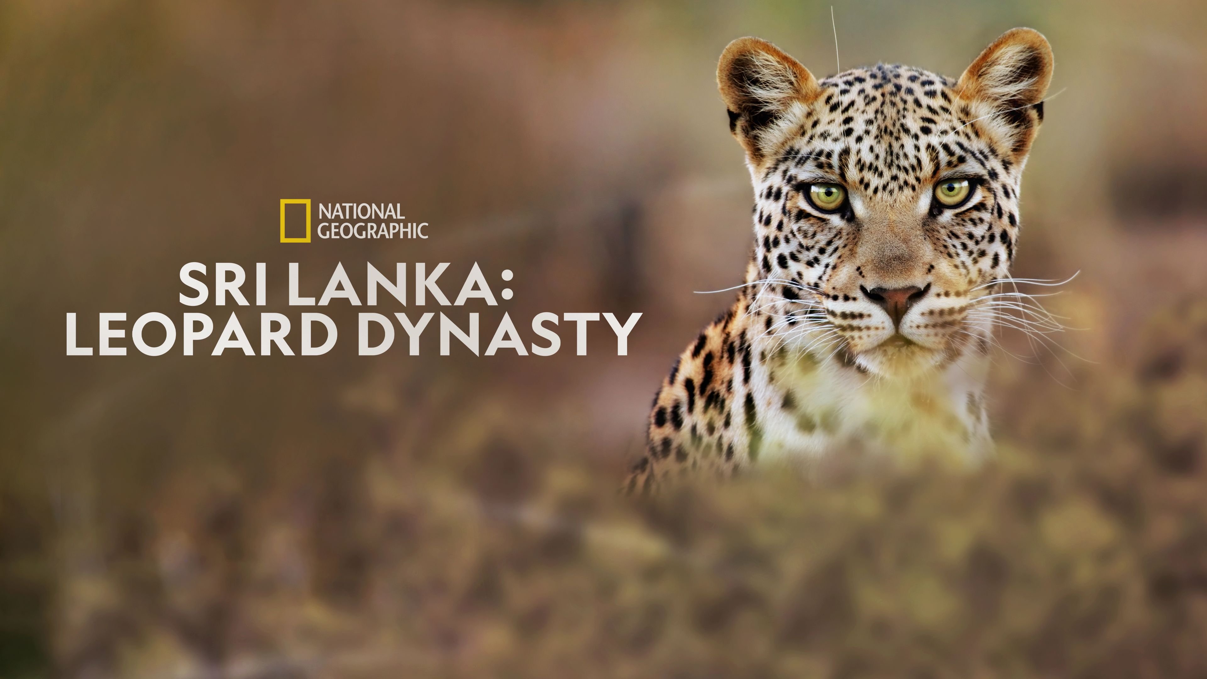 Sri Lanka: Leopard Dynasty