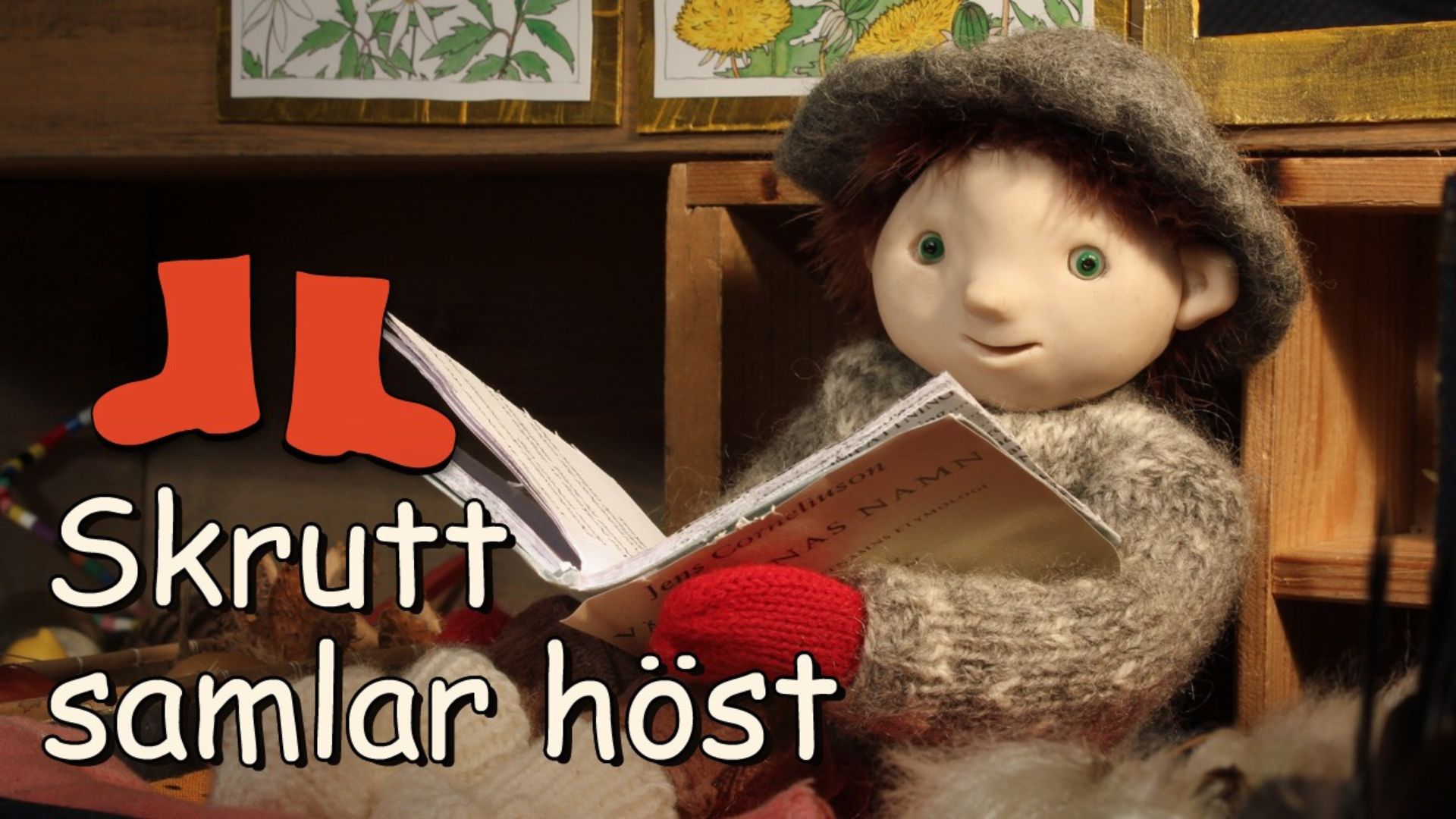Skrutt samlar höst - nordsamiska