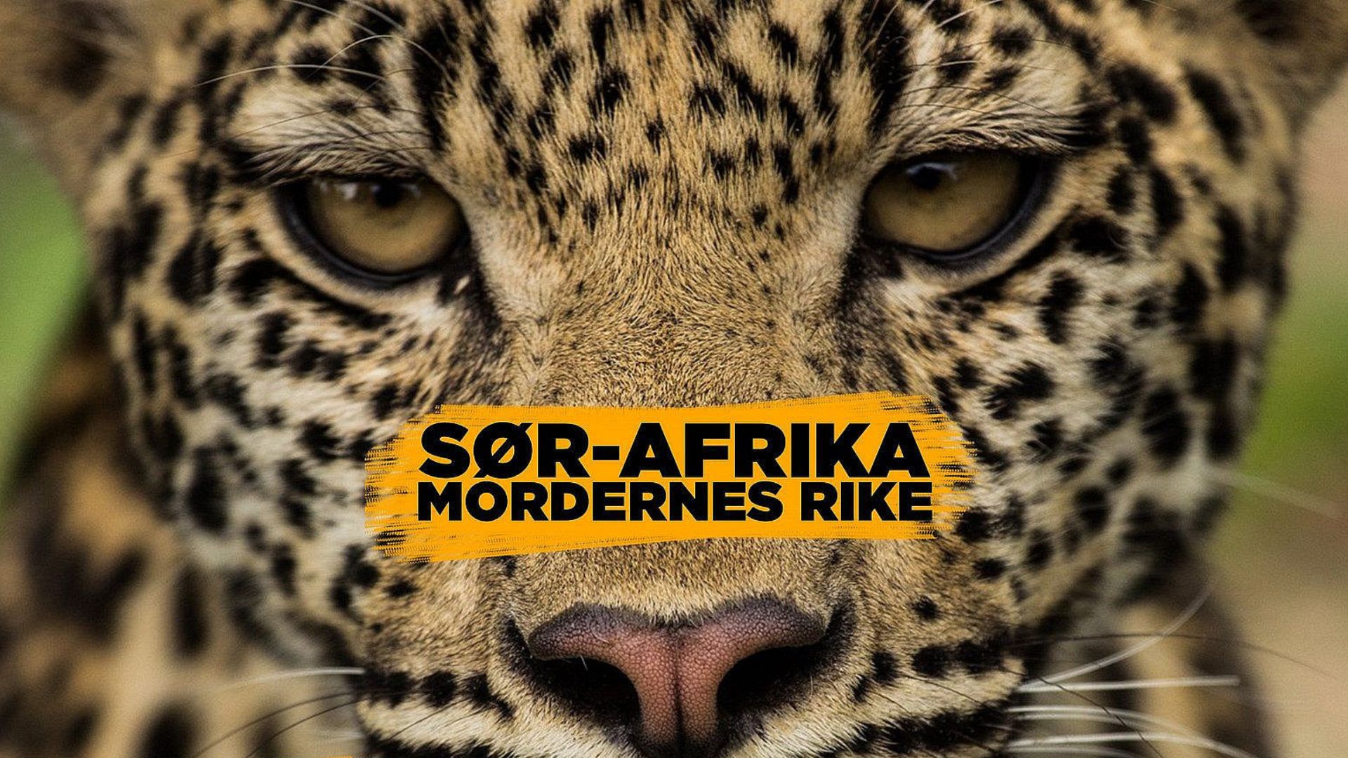 Sydafrika: Rovdyrenes vugge