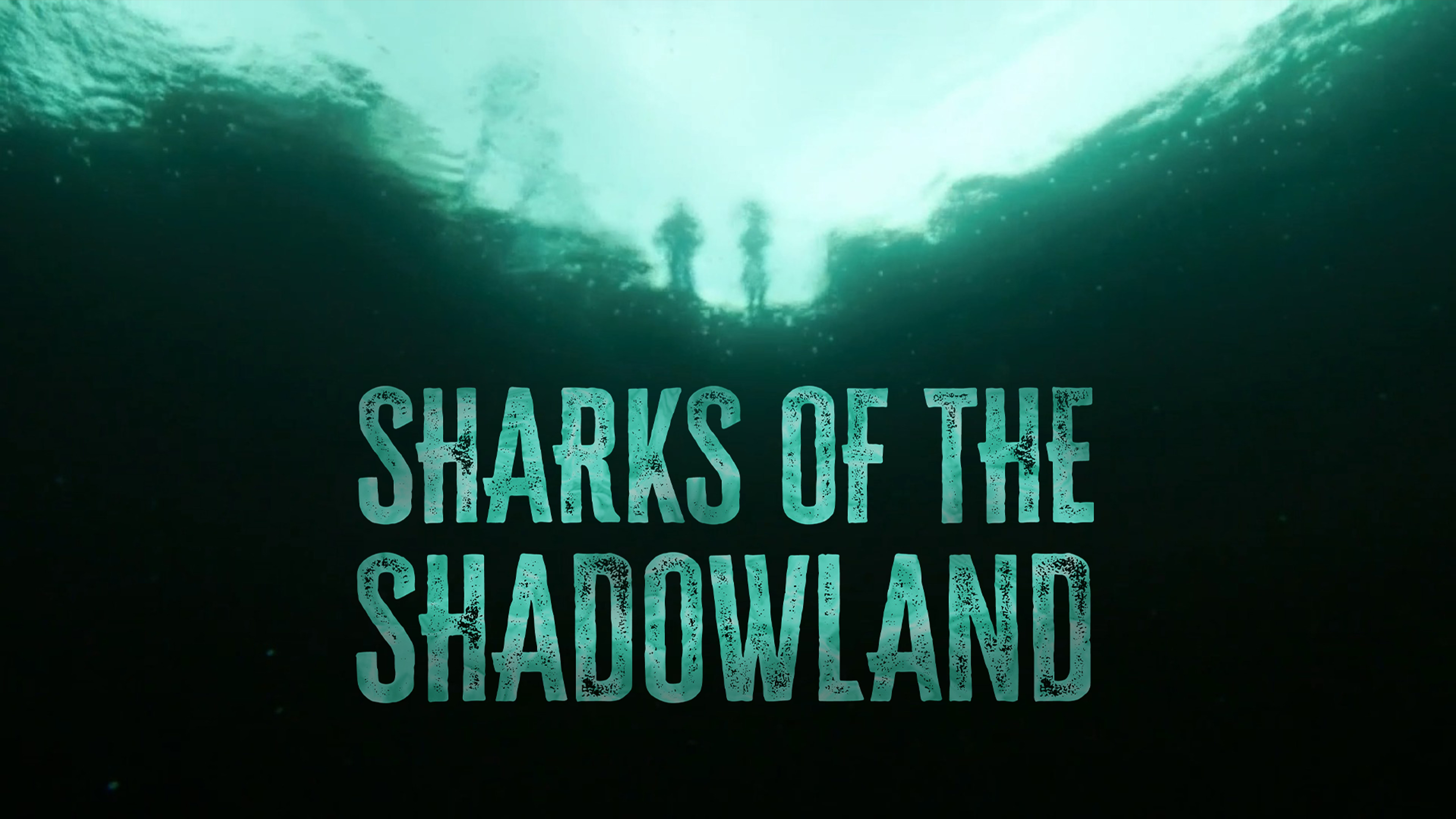 Shark Week