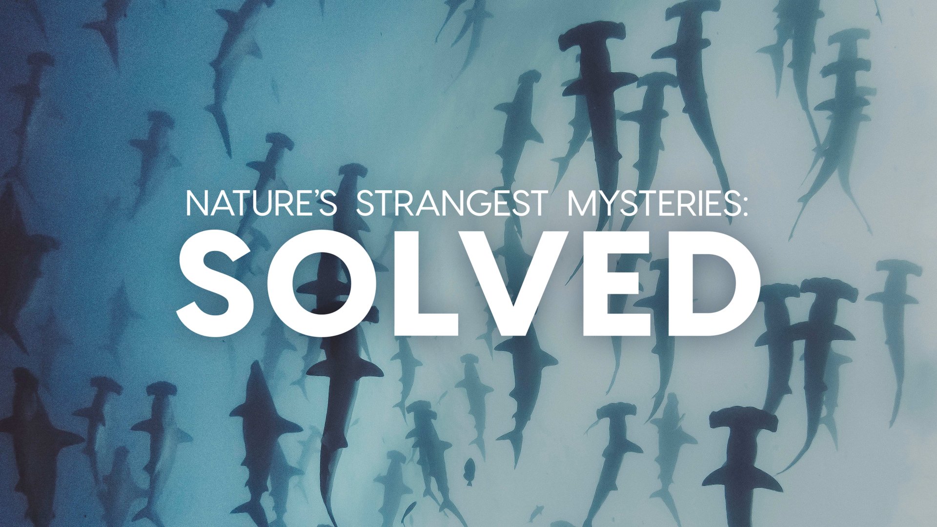 Nature's Strangest Mysteries: Solved