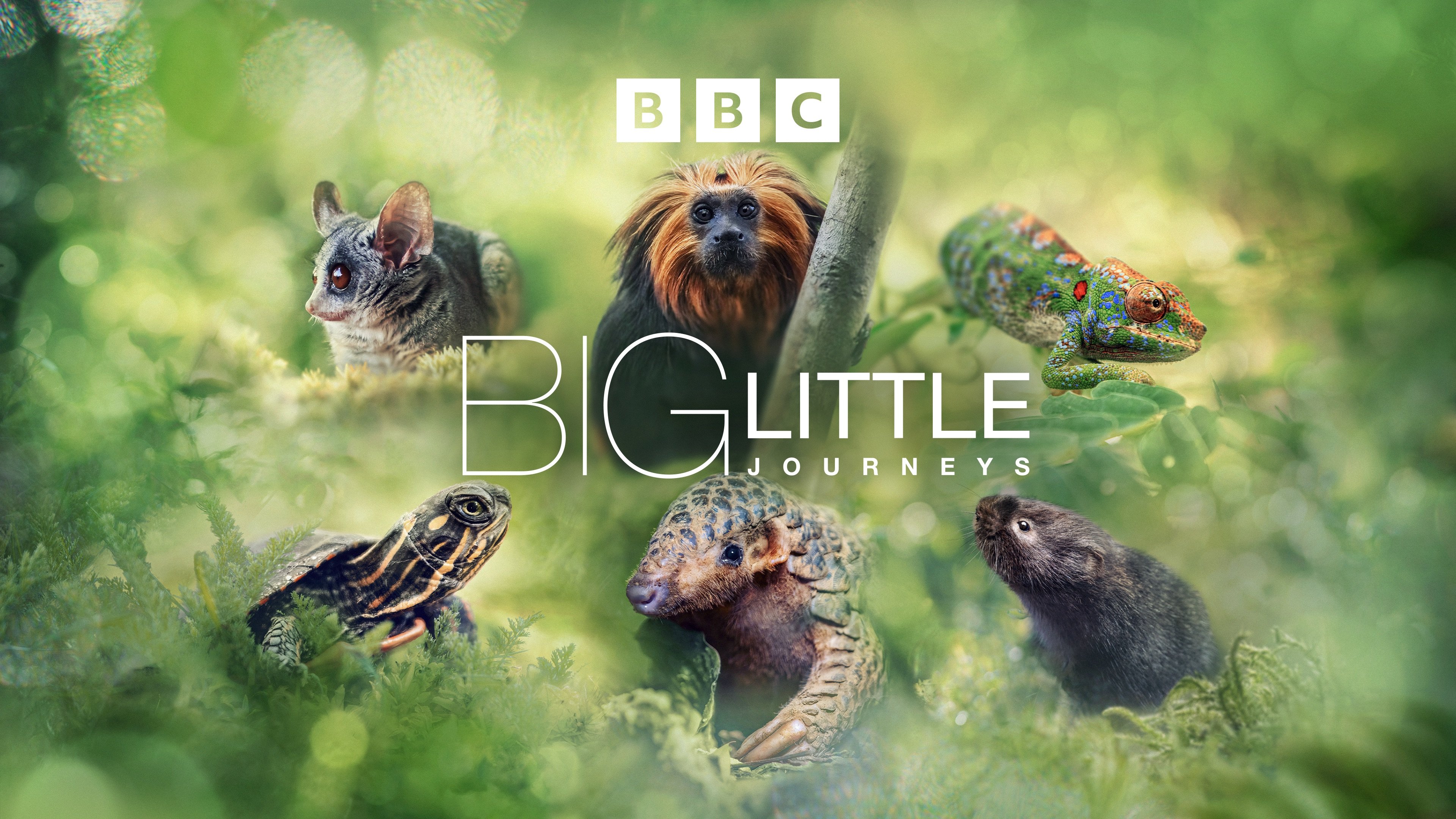 Big Little Journeys