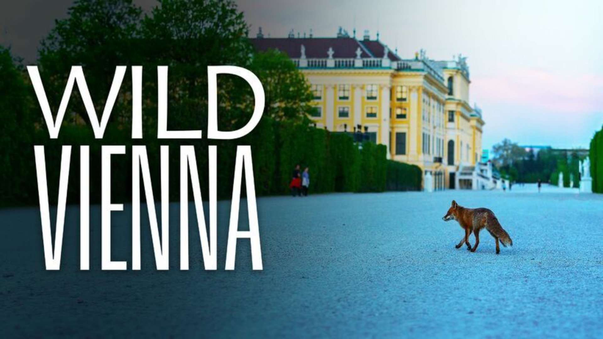 Det ville Wien